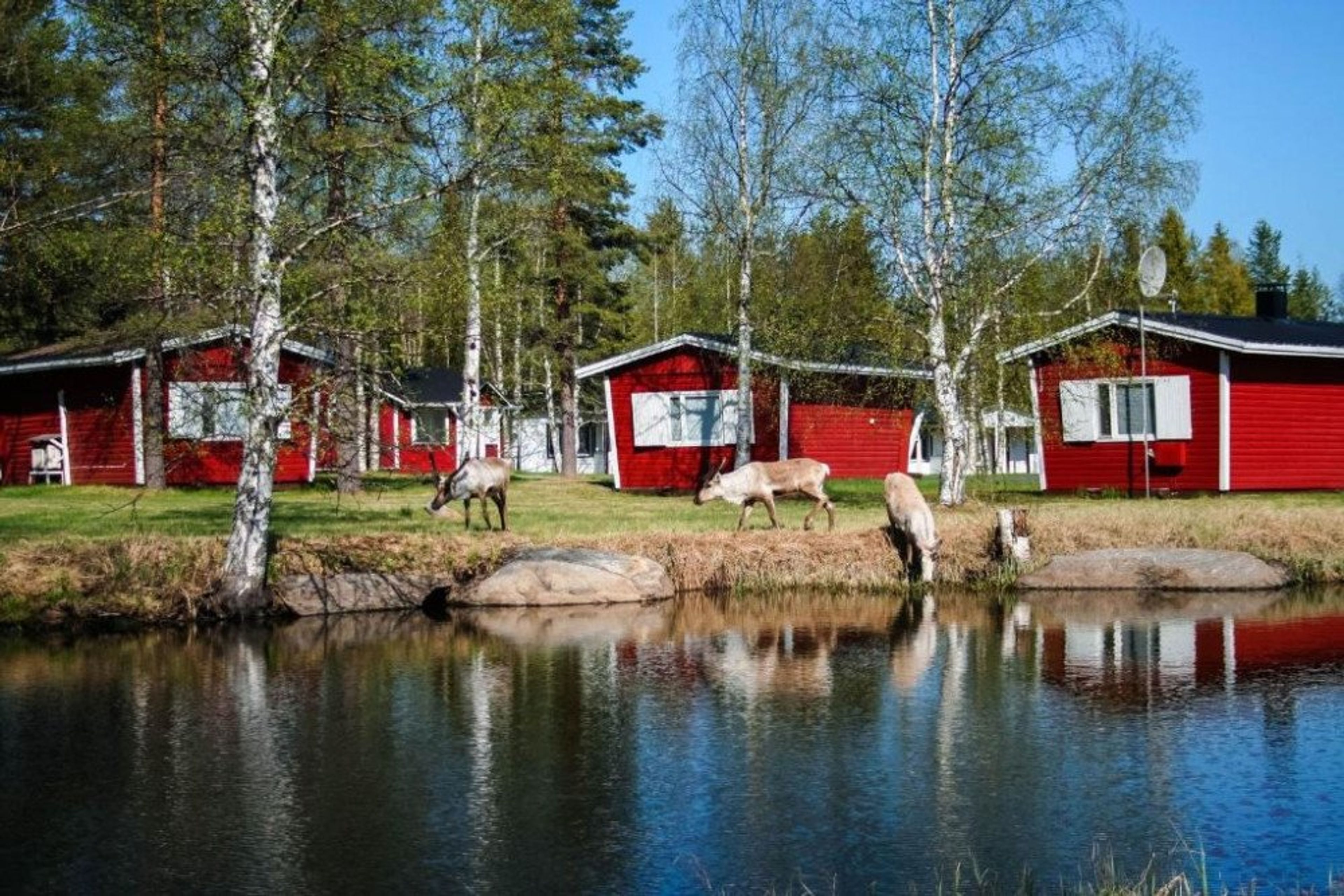 7 dagen naar magisch Lapland | Motelli Rovaniemi | weflycheap