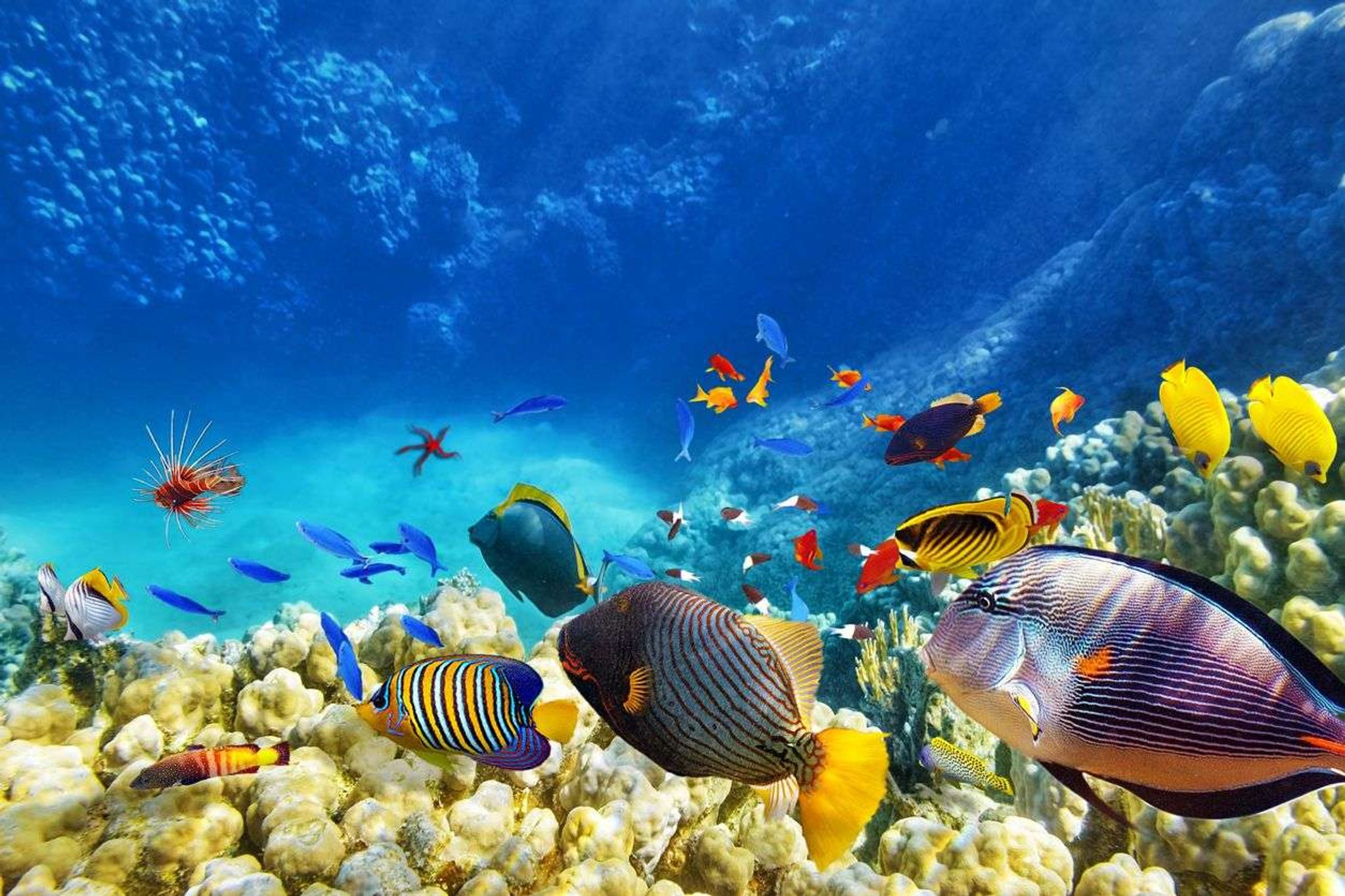 De beste onderwaterhotels ter wereld