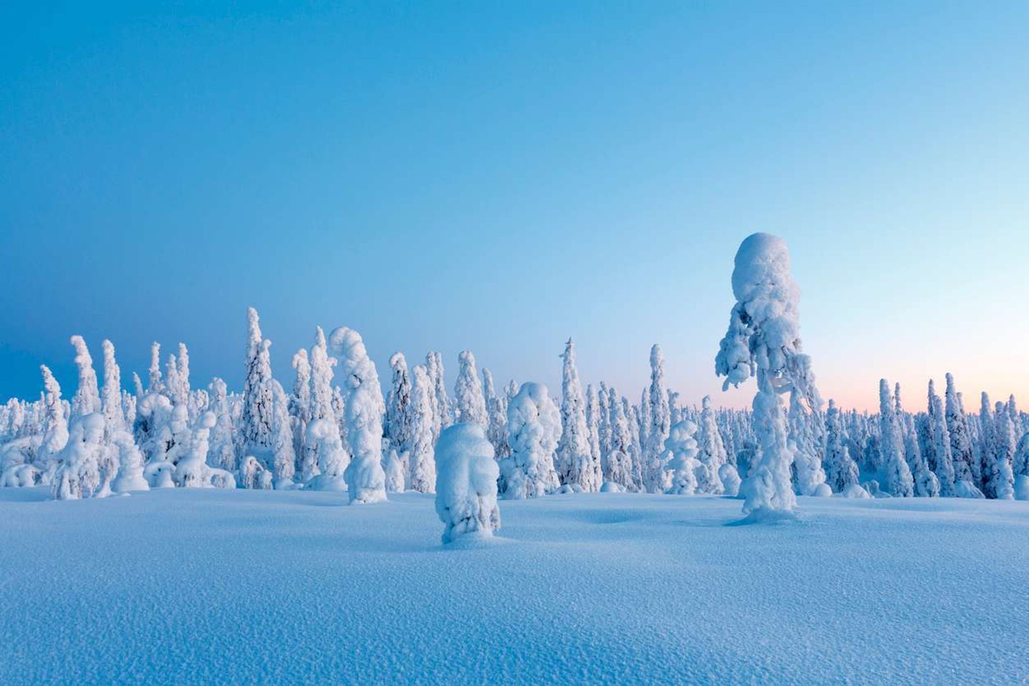 Vakantie Lapland winter