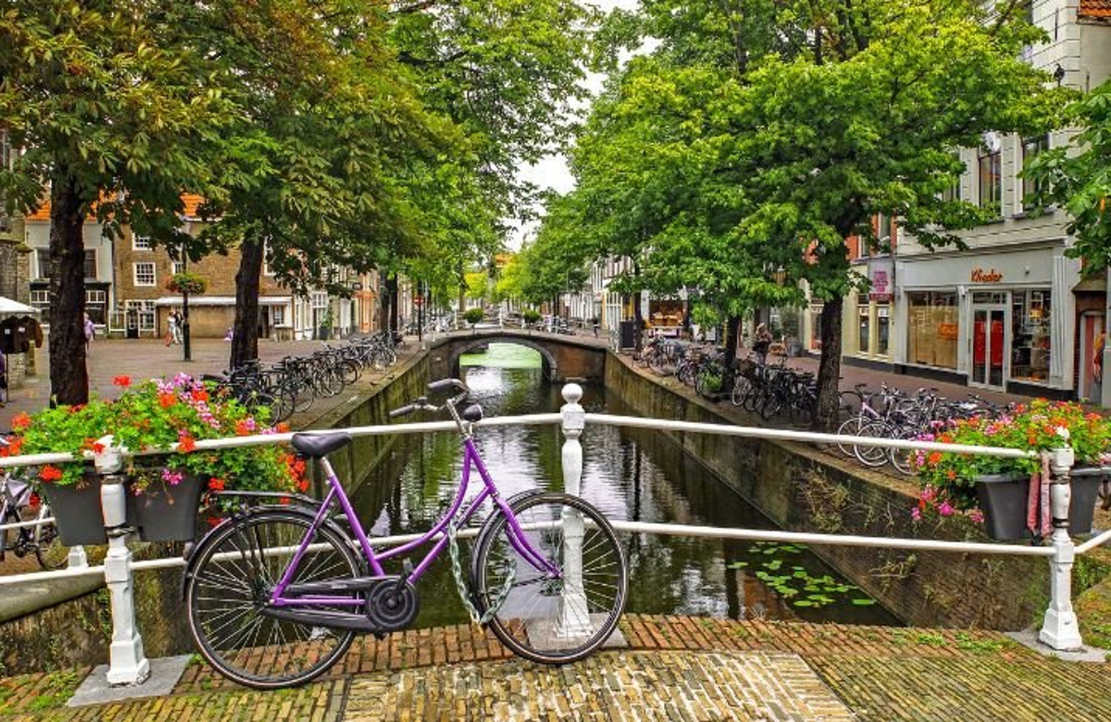 topdeal afbeelding