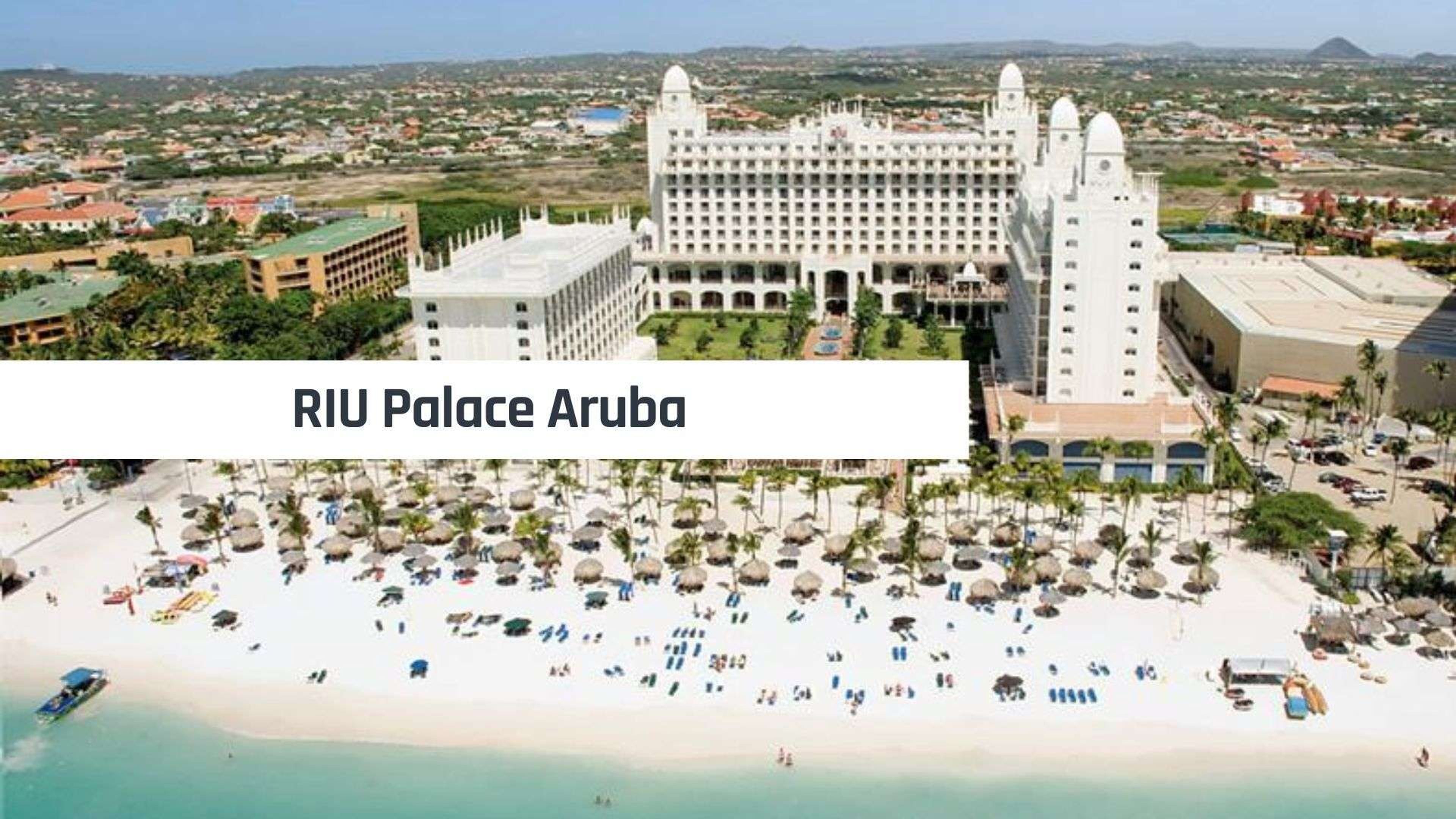 Meivakantie Aruba 2025 Nergens goedkoper weflycheap