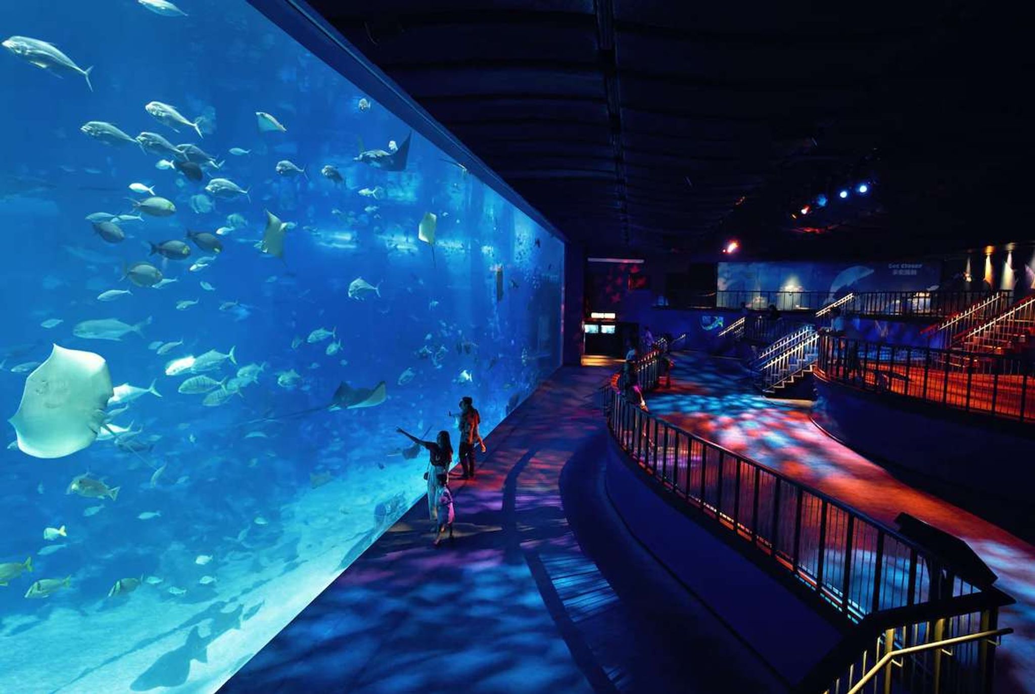 Onderwaterhotel Resorts World Sentosa aquarium