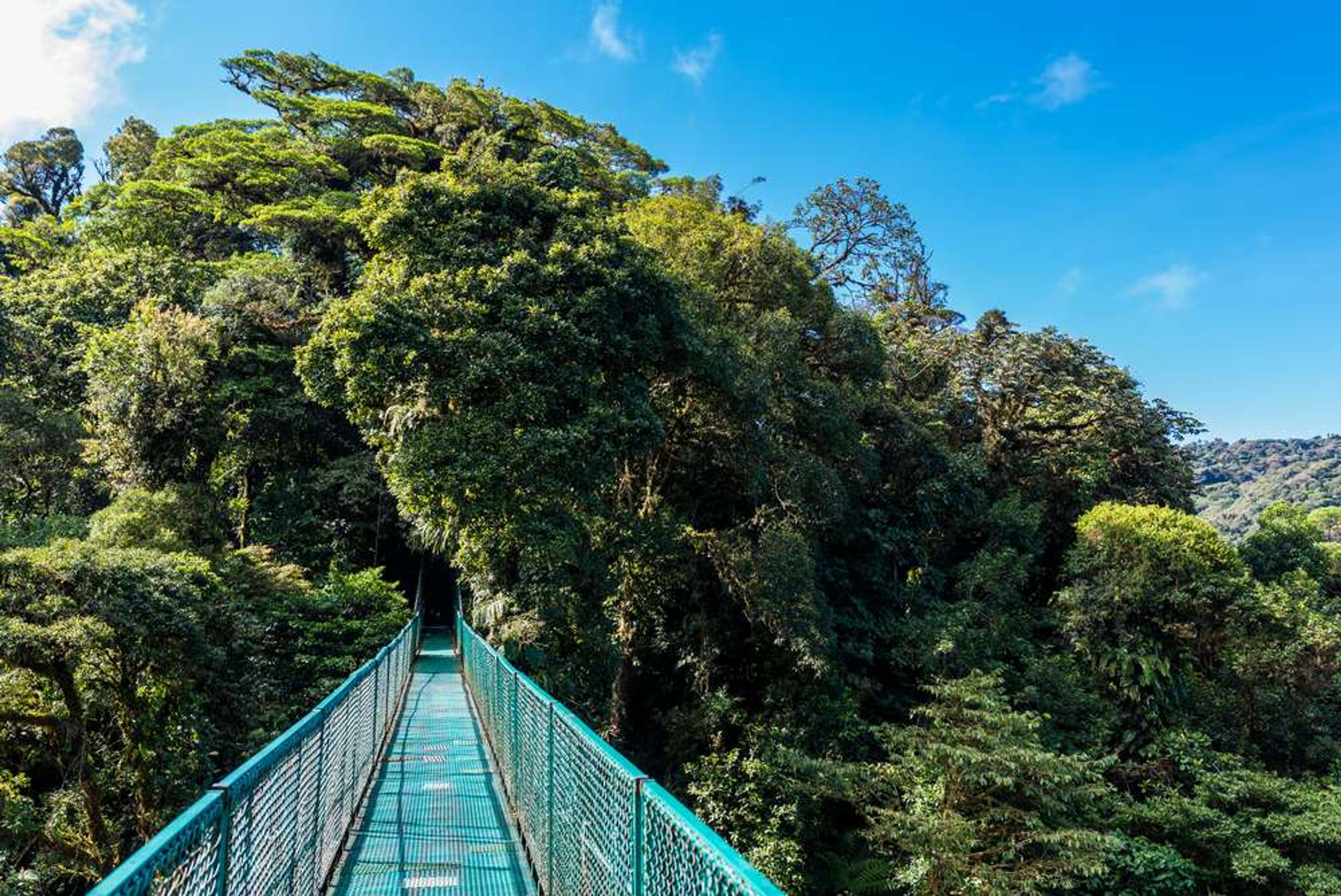 Costa Rica Hangede brug tussen bomen