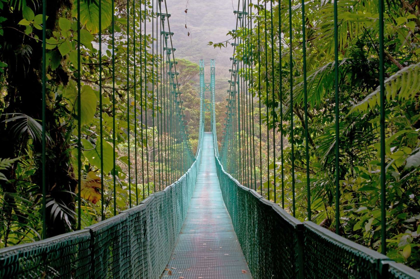 Costa Rica Monteverde hangbrug