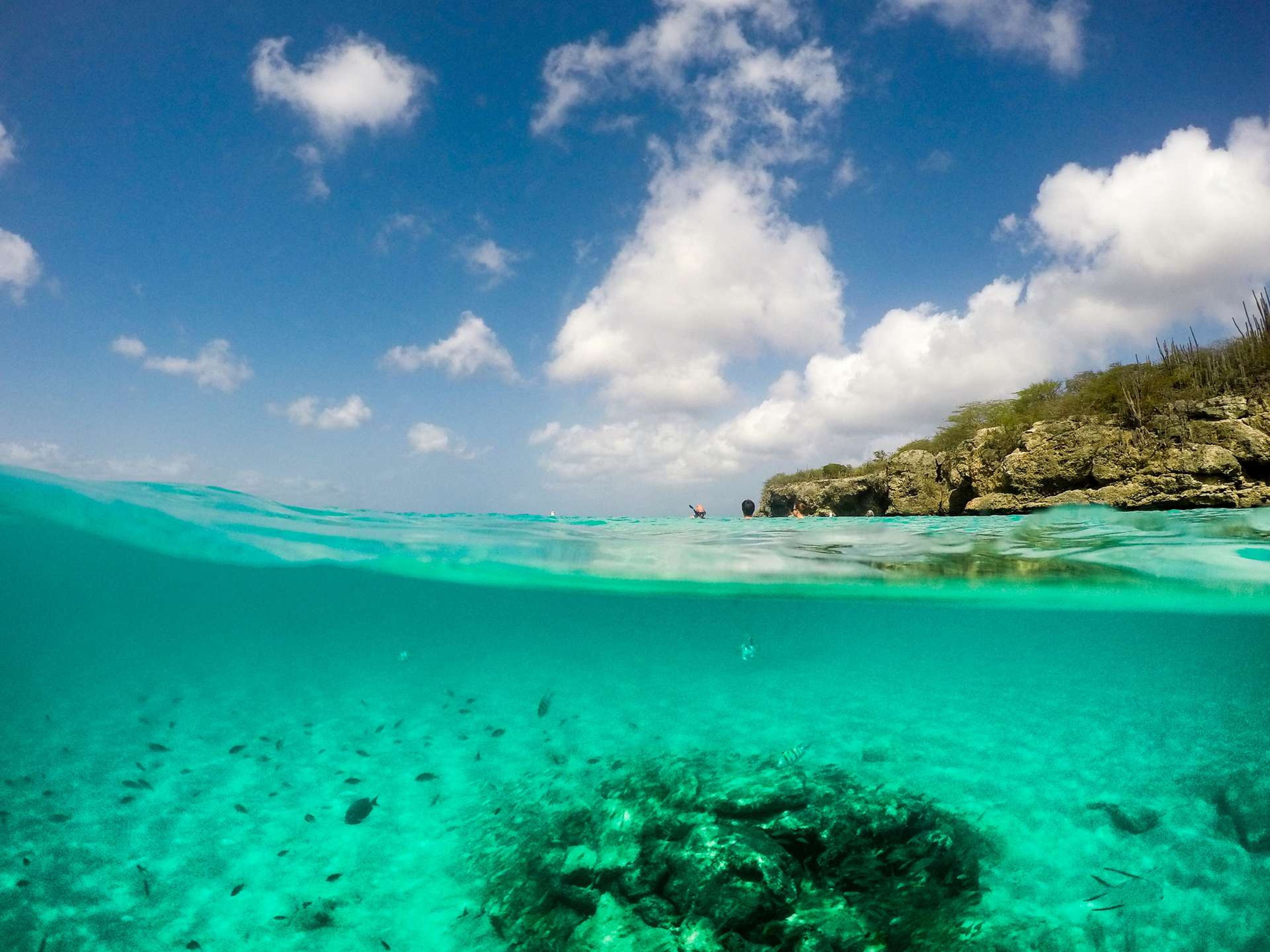 Curacao zicht tijdens snorkelen