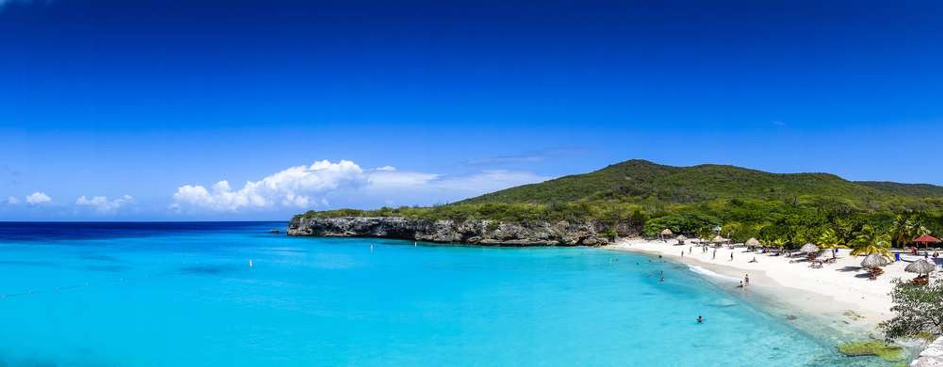 Curacao Grote Knip 