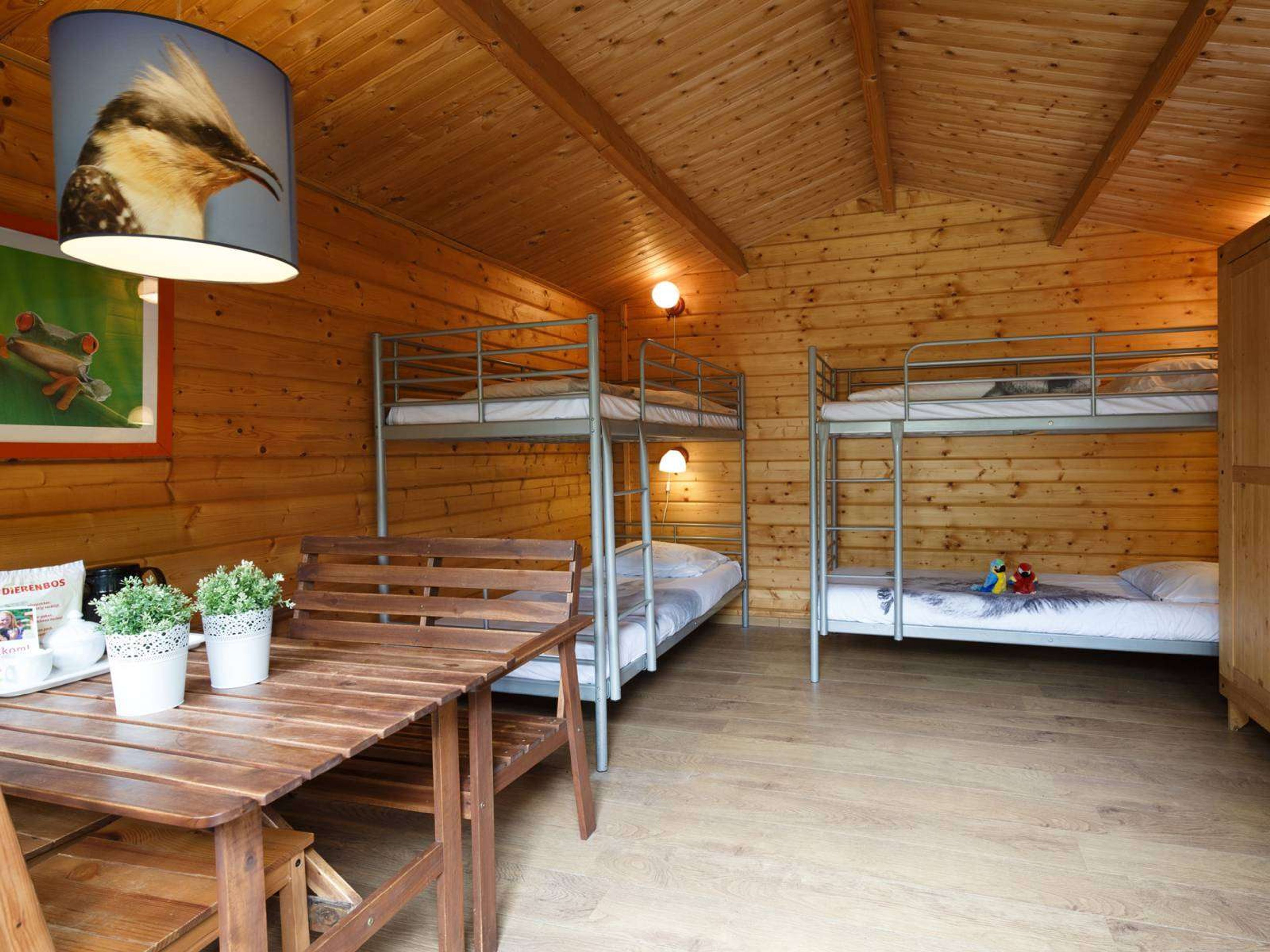 boomhut interieur woon slaapkamer