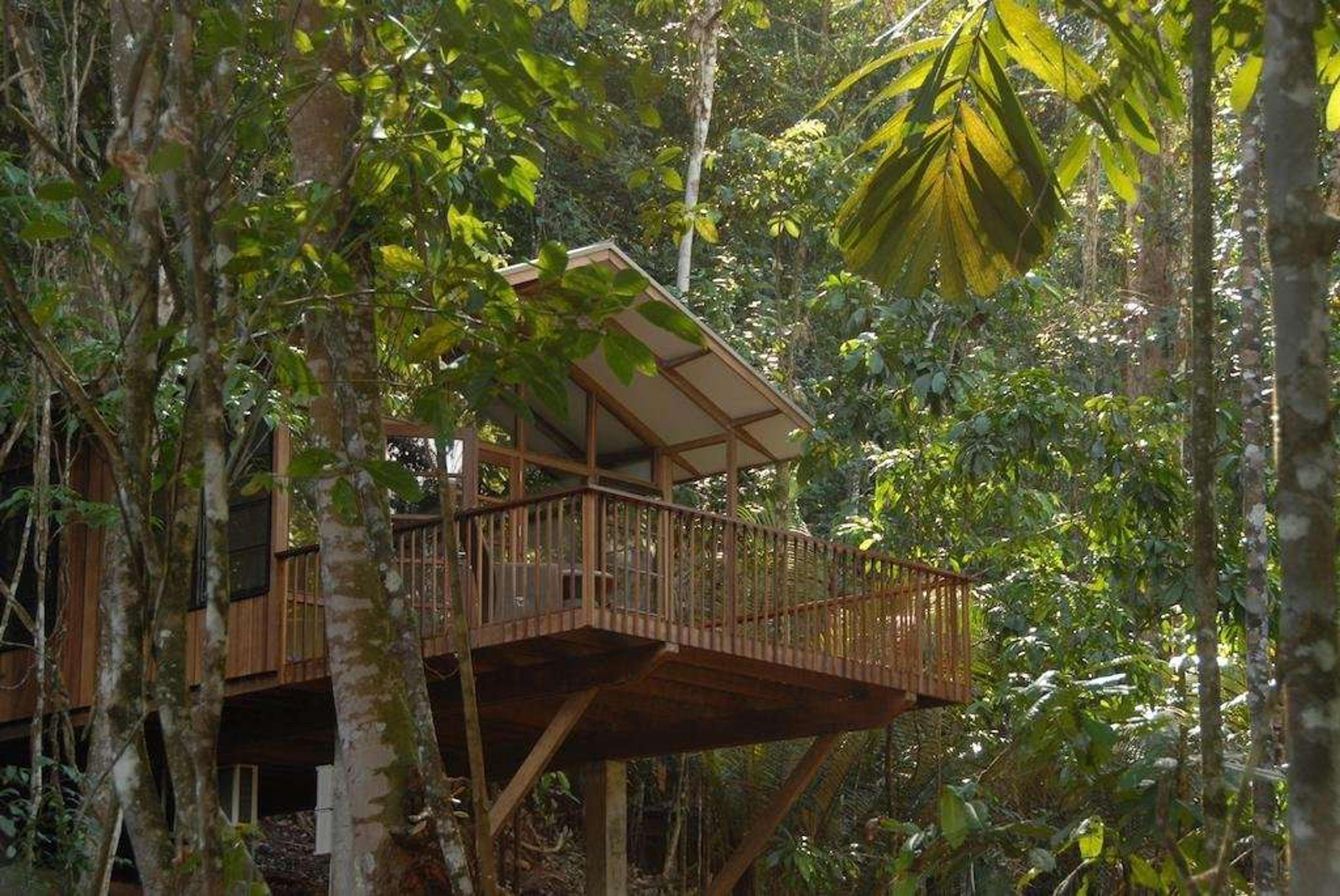Bergendal Amazonia Wellness Resort 1