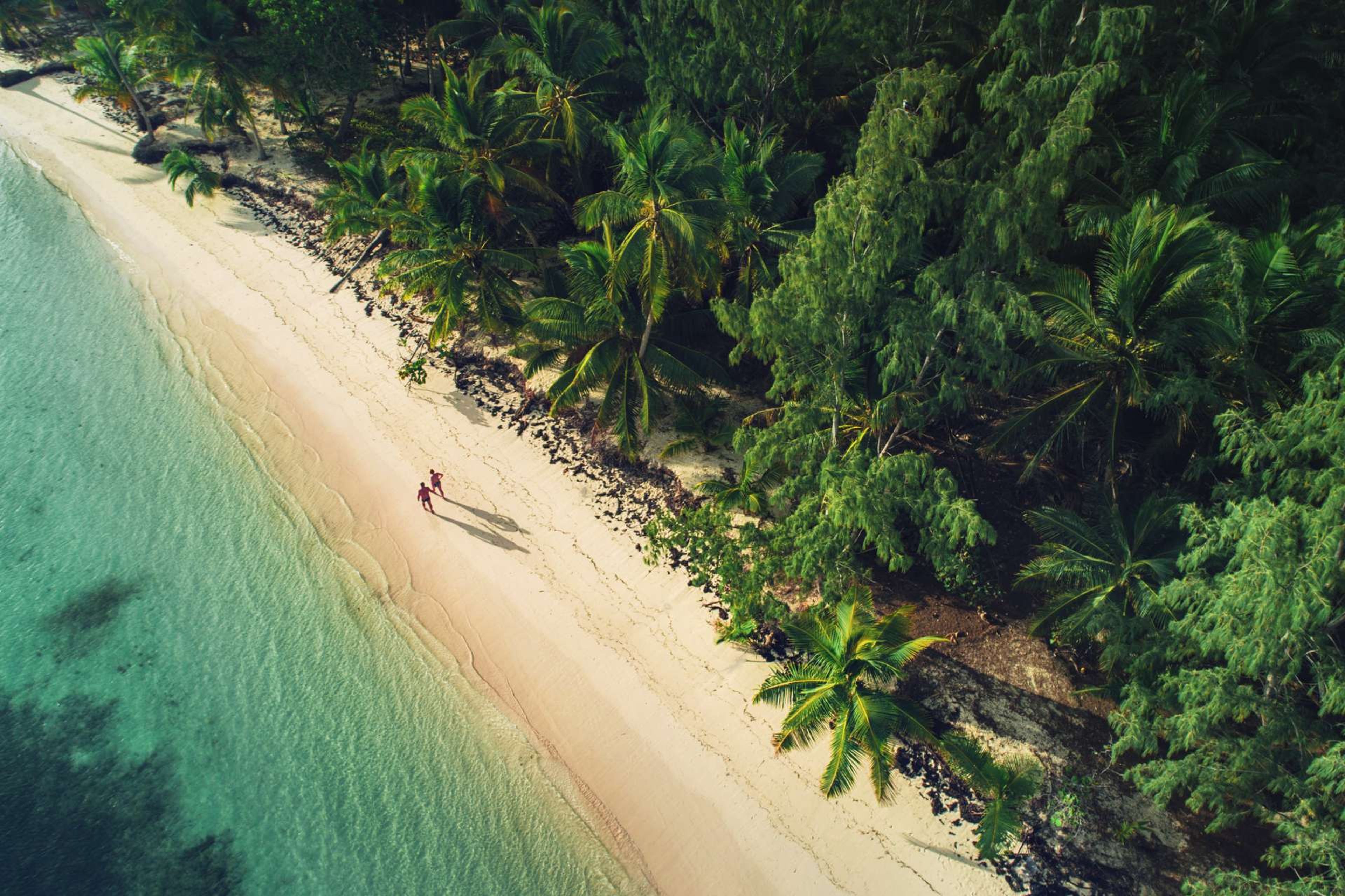 Dominicaanse Republiek tropical island beach