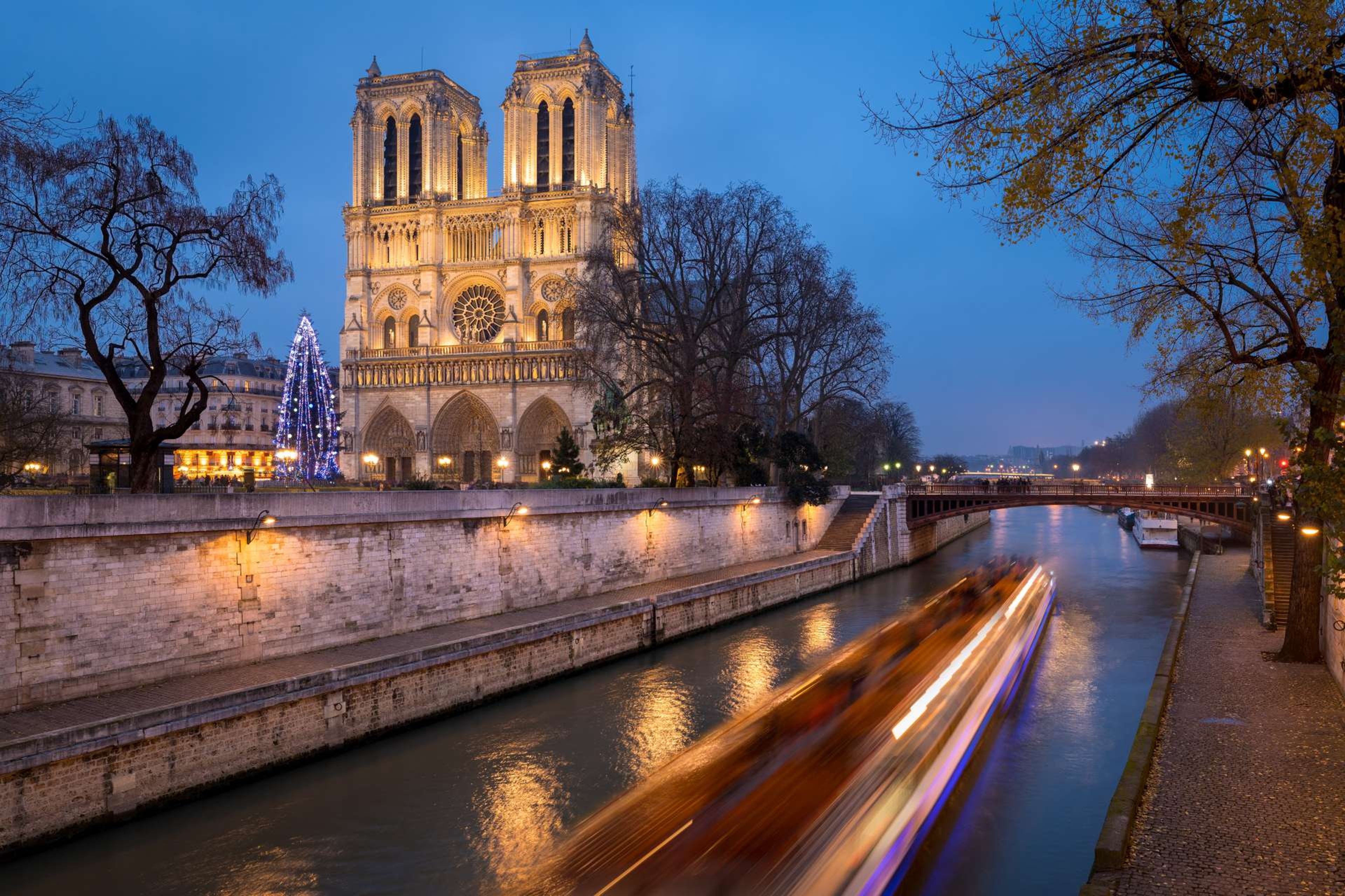 Frankrijk Parijs Christmas Tree at Notre Dame