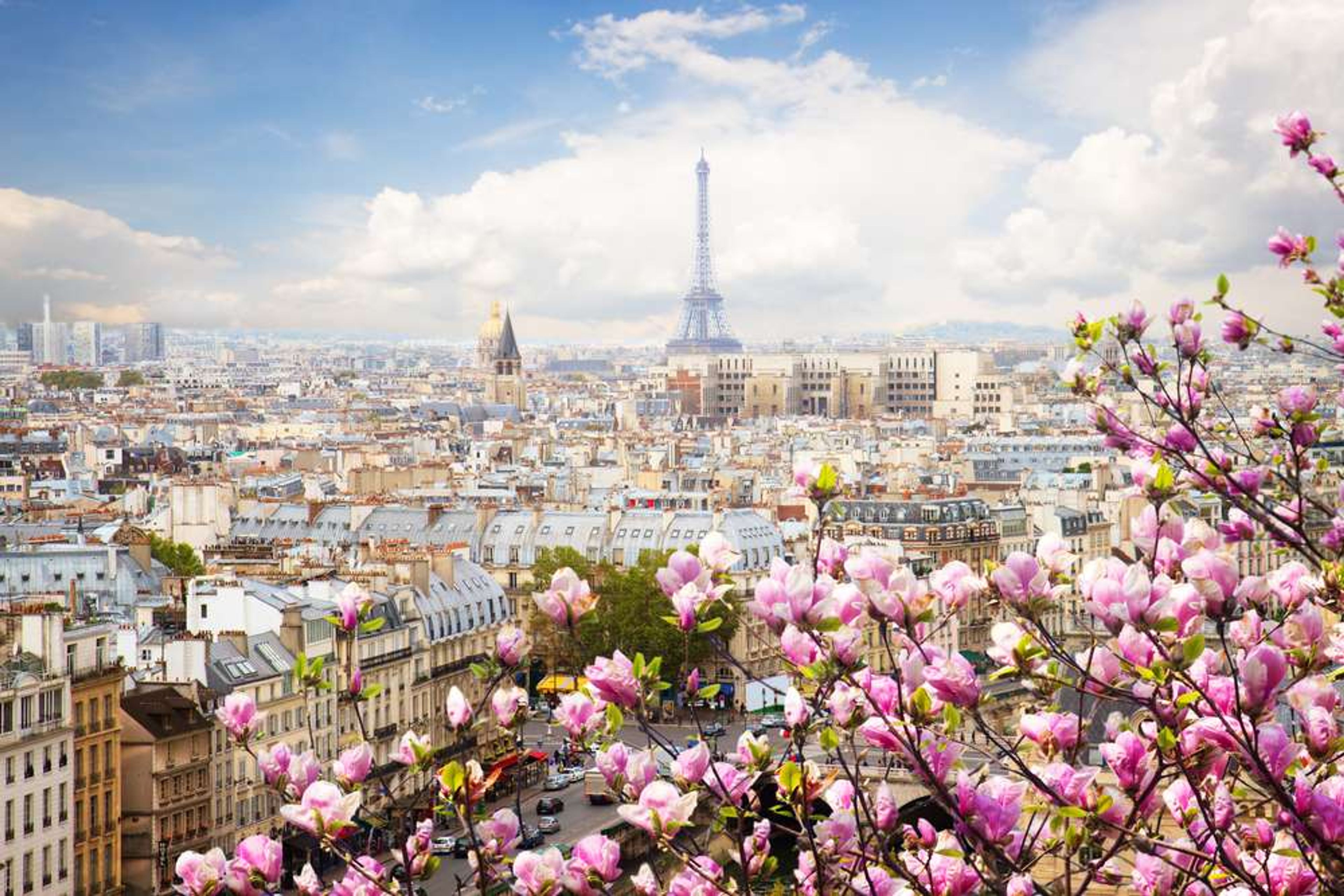Frankrijk Parijs skyline Eiffeltoren
