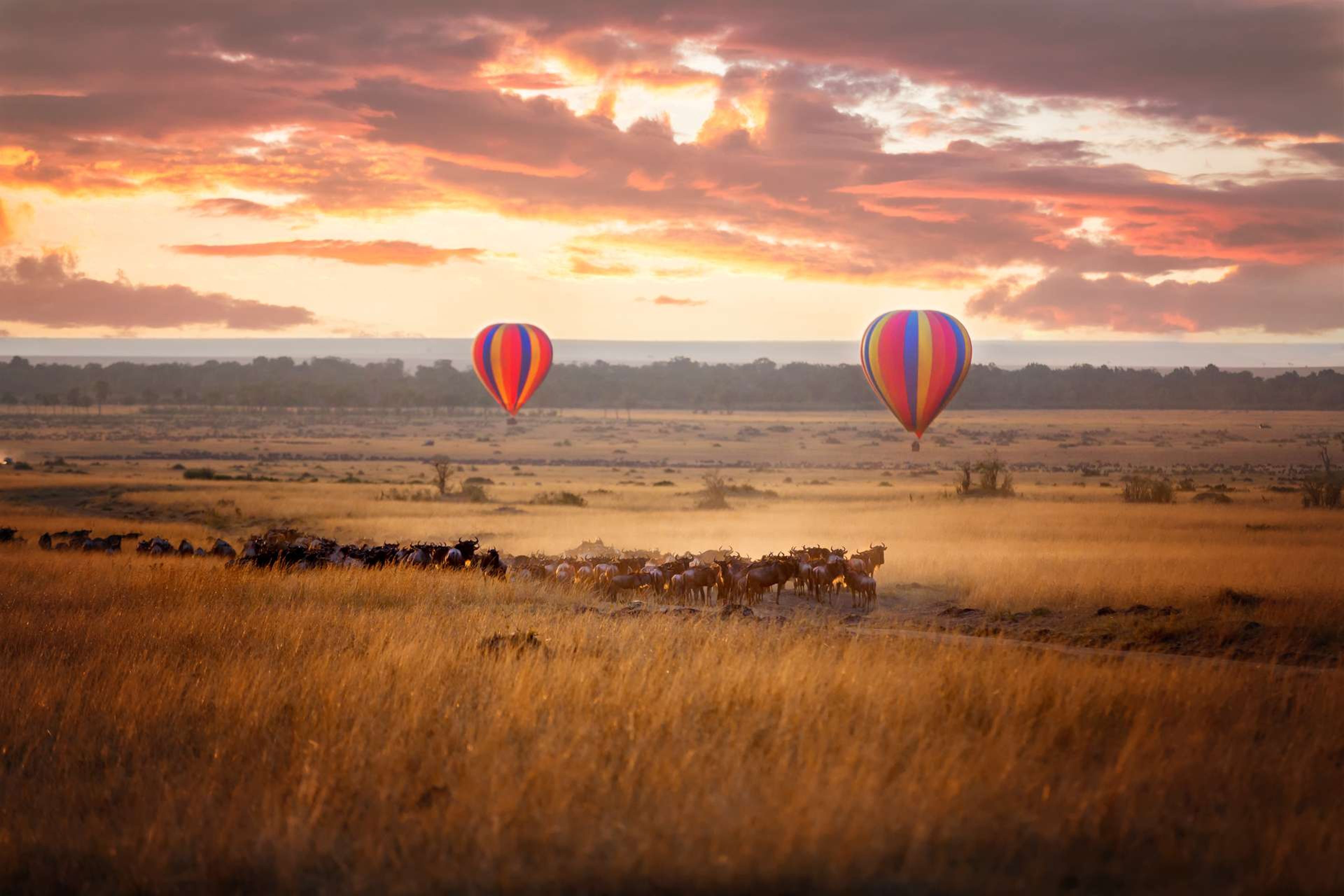 Kenia Masai Mara annual Great Migration luchtballonnen