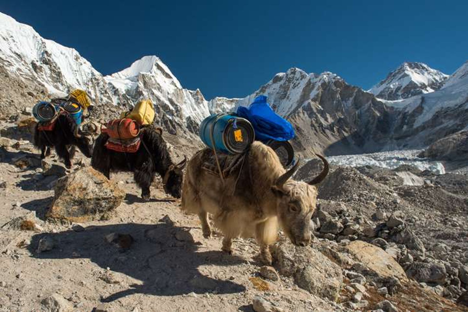 Nepal