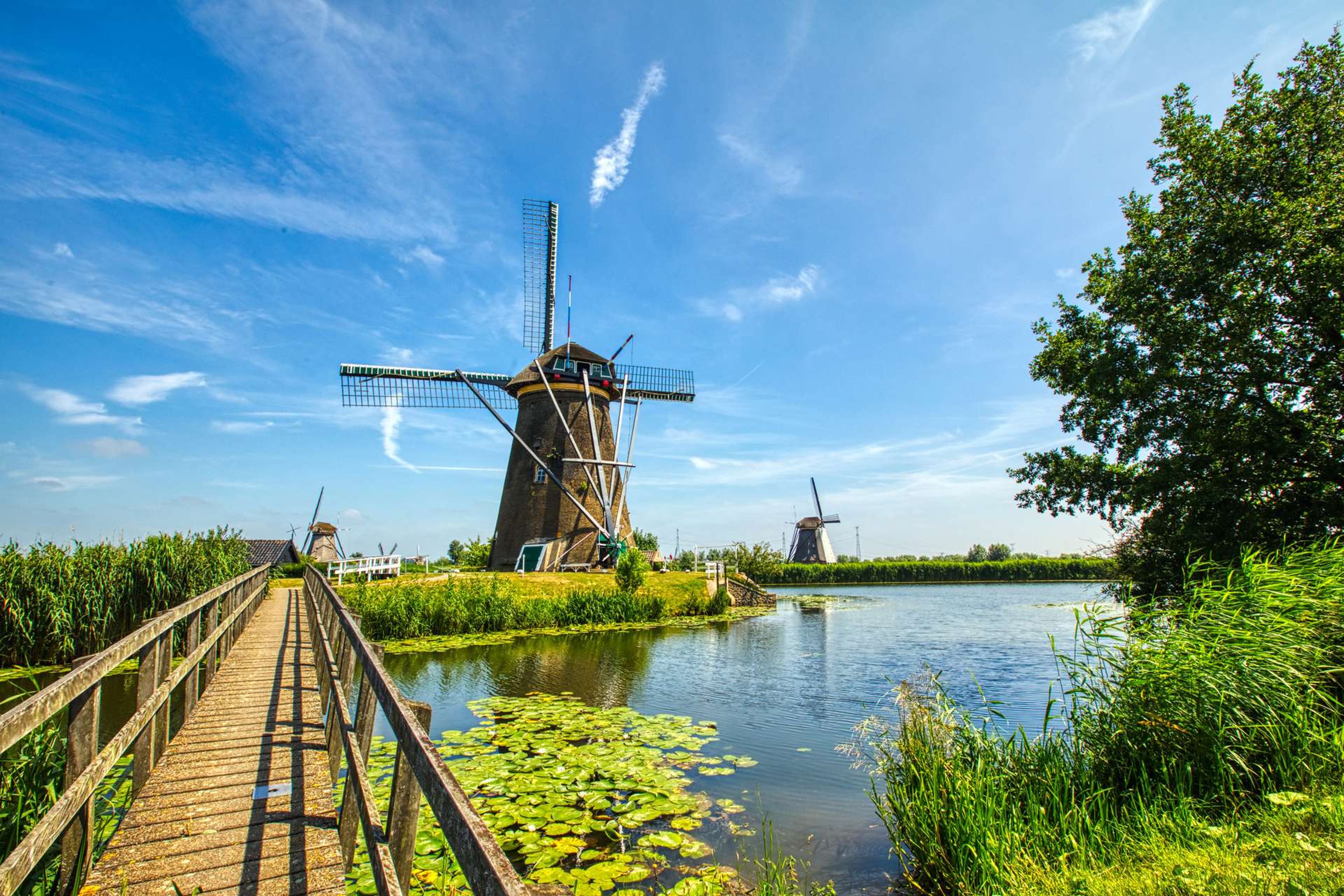 iStock 1080296730