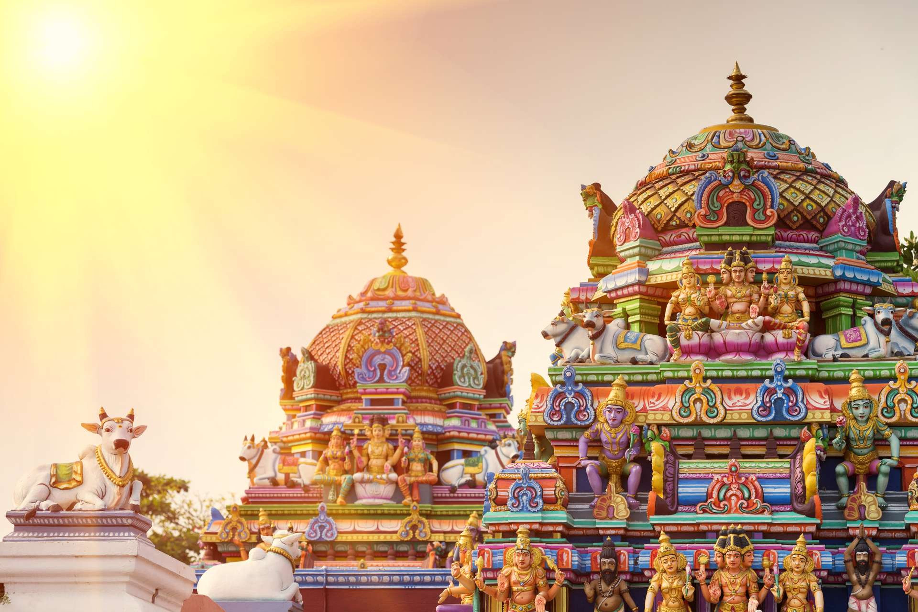 India Tamil Nadu Kapaleeshwarar Temple