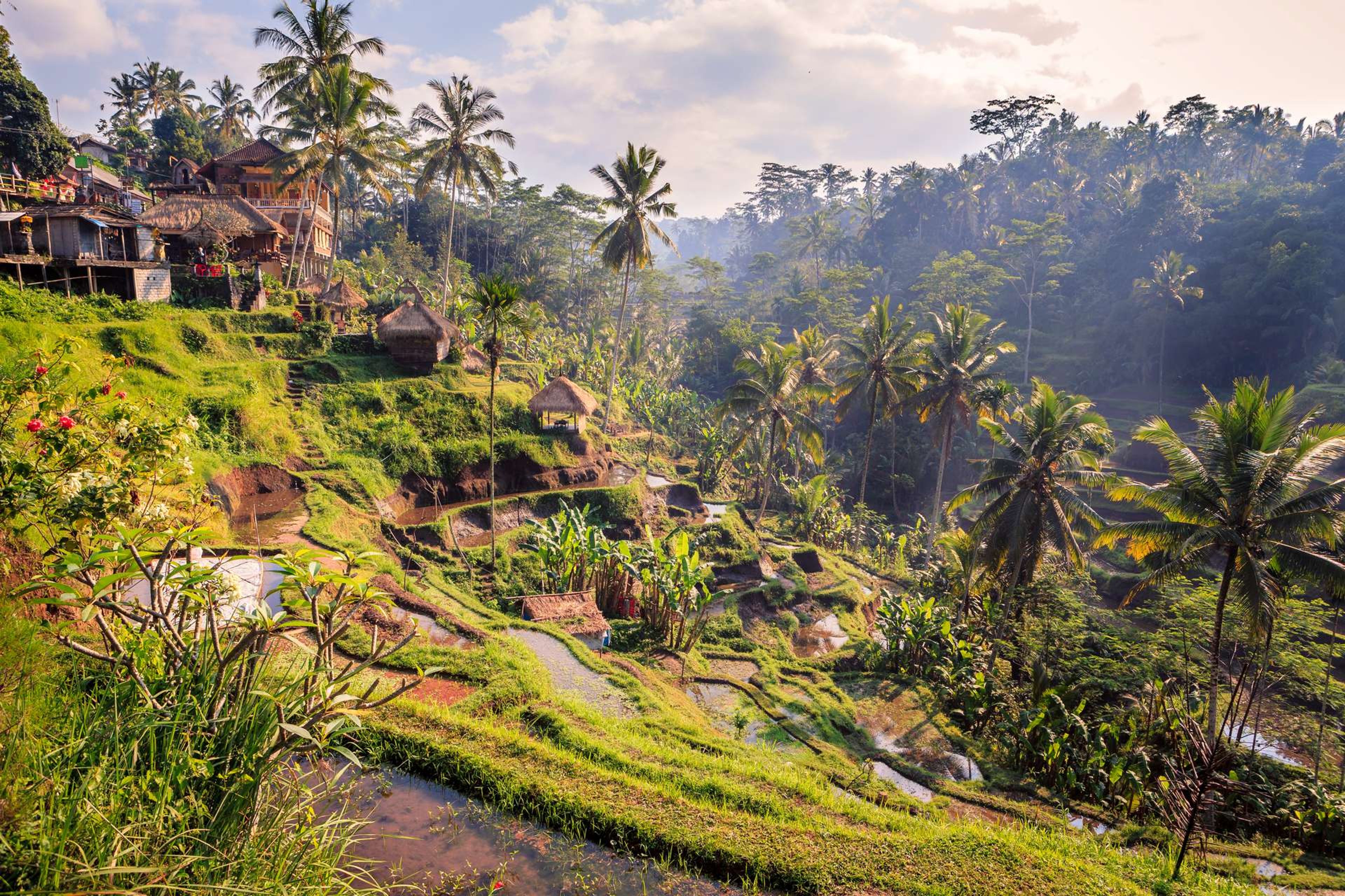 Indonesië Bali Ubud