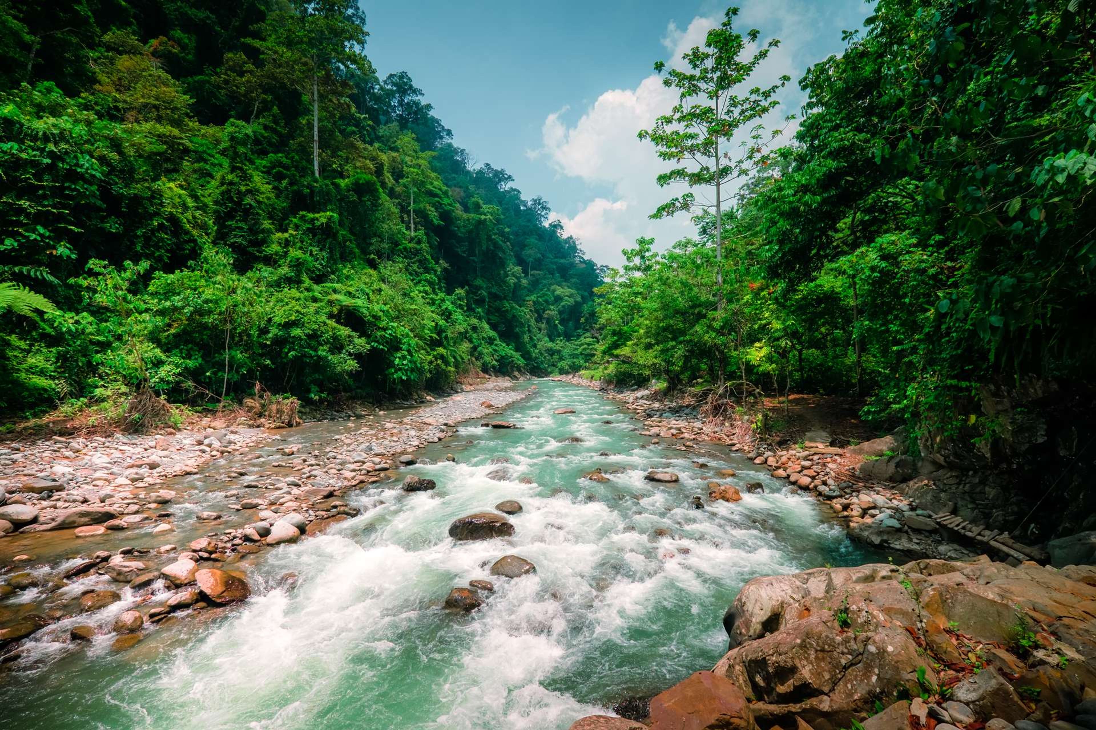 Indonesië Sumatra rivier in jungle