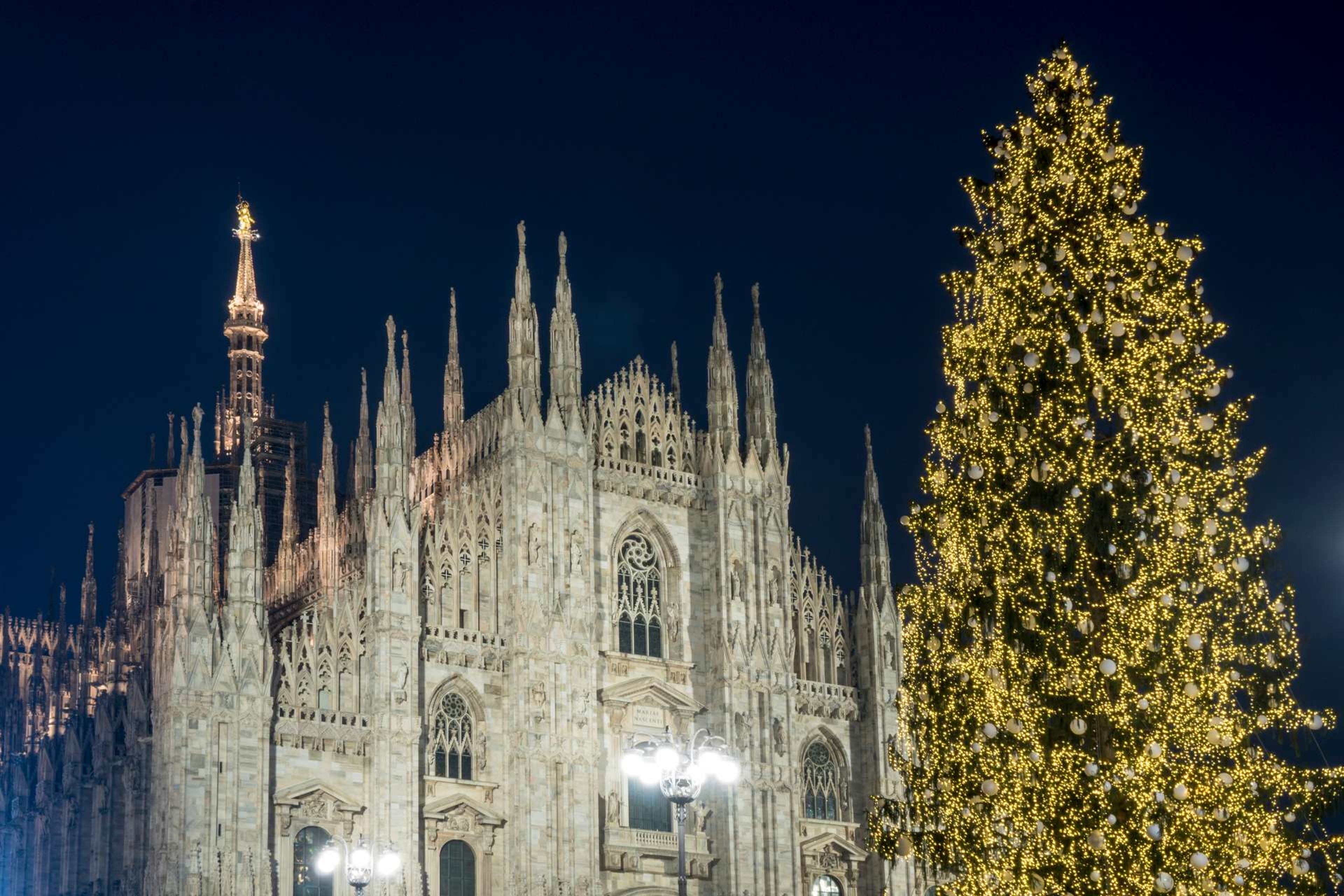 Italië Milaan Piazza Duomo Cathedral Duomo di Milano Christmas tree