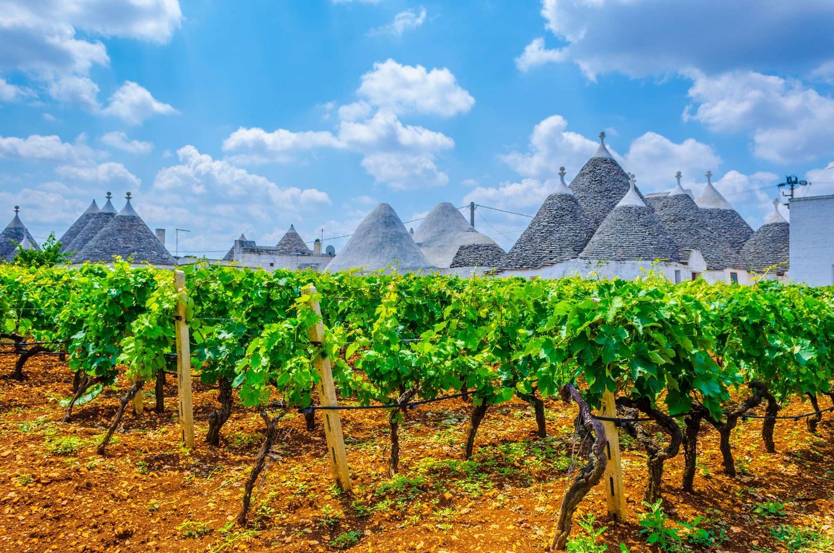 Italië Alberobello trulli houses en wijngaard