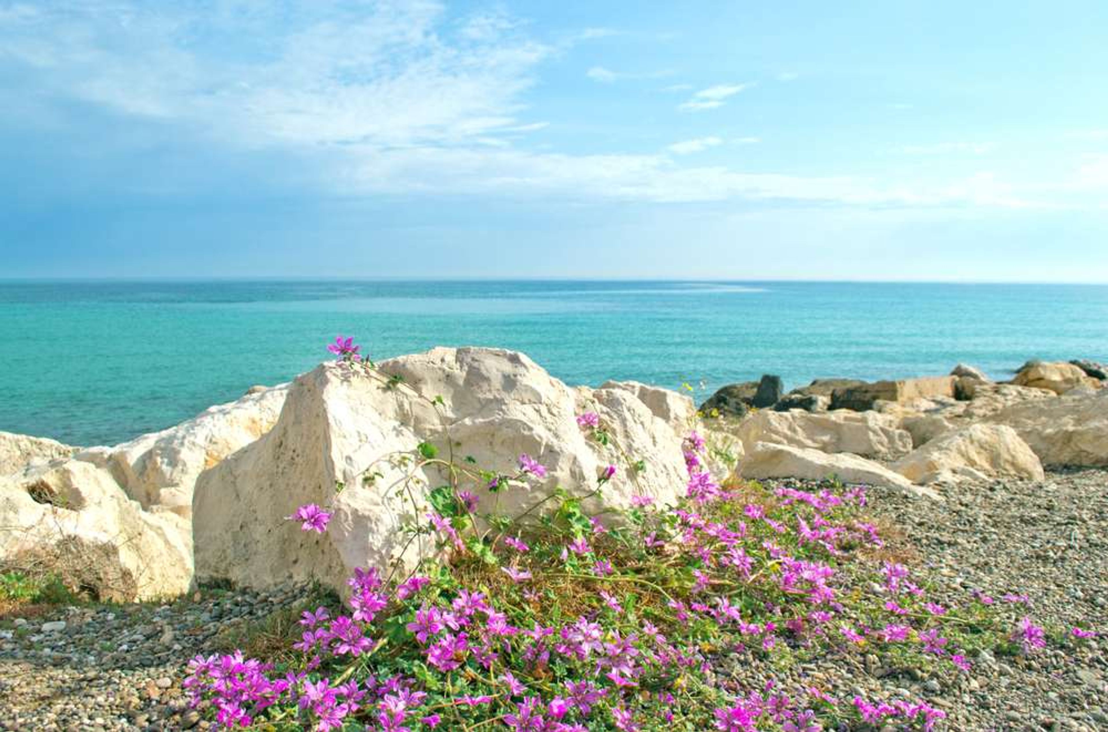 Italie Apulia Bari City beach 