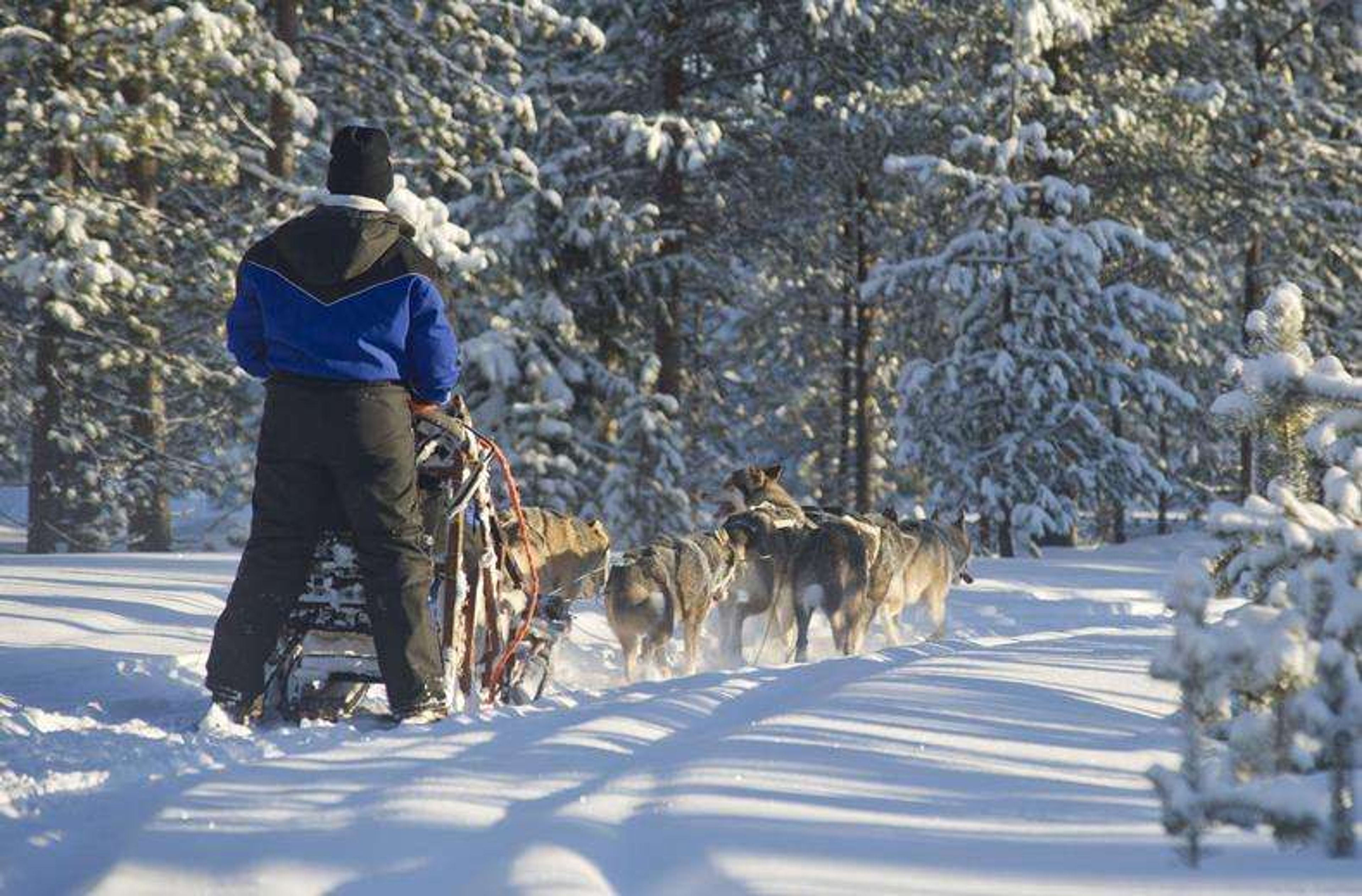 lapland10