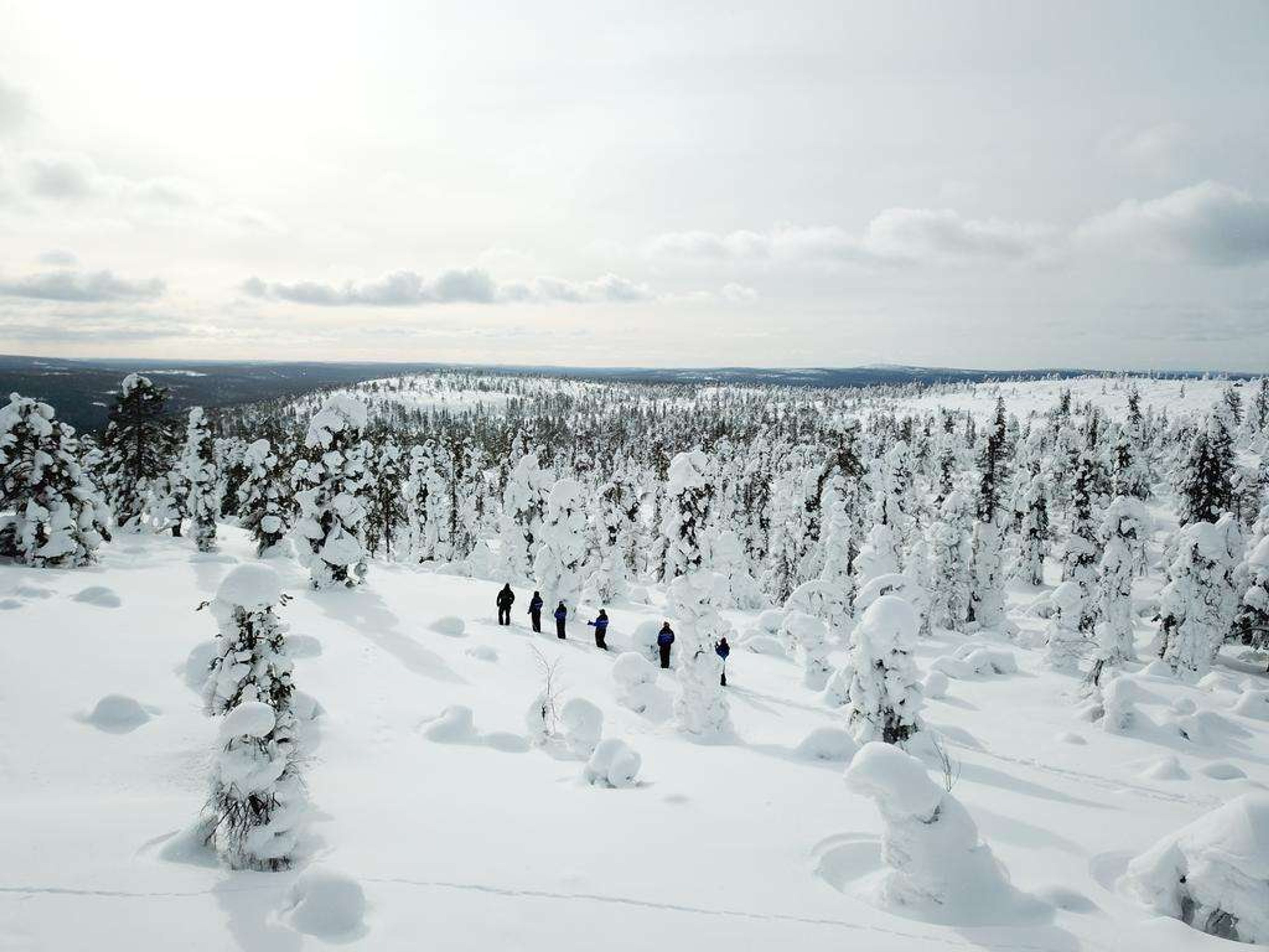 lapland2