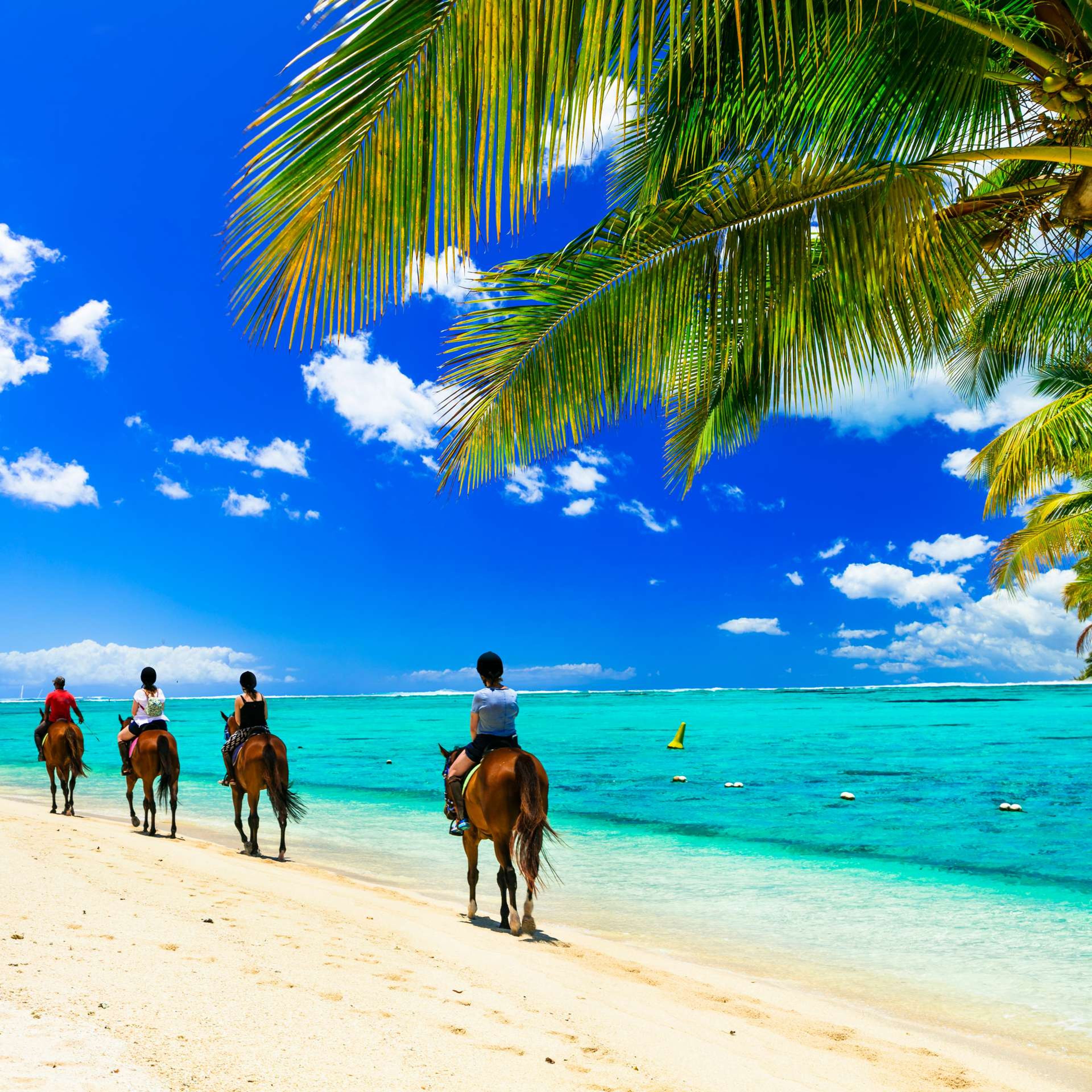 Mauritius paardrijden op het strand