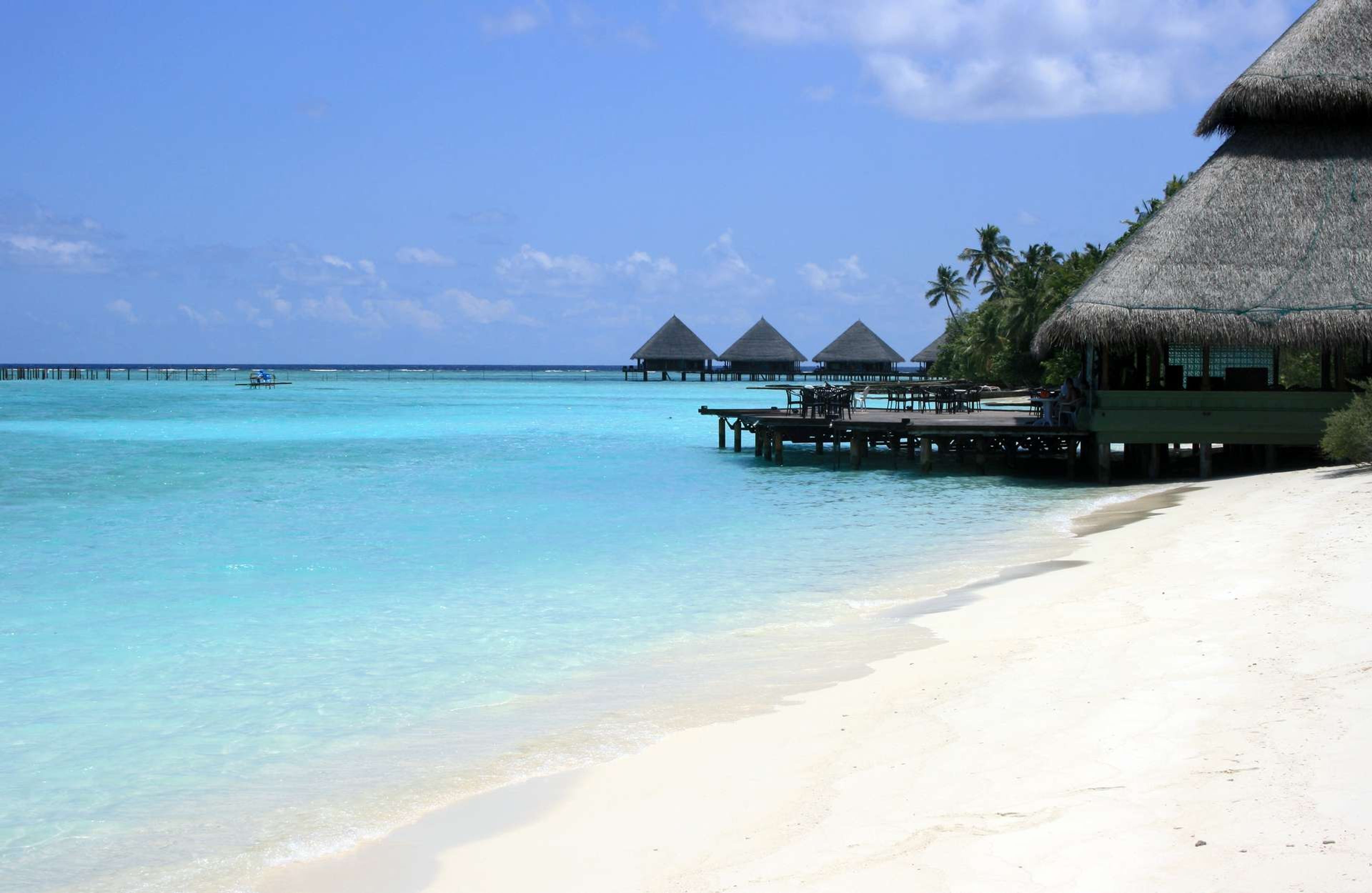 Malediven beach bar