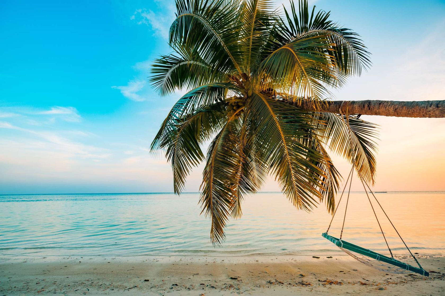 Malediven palmboom op strand