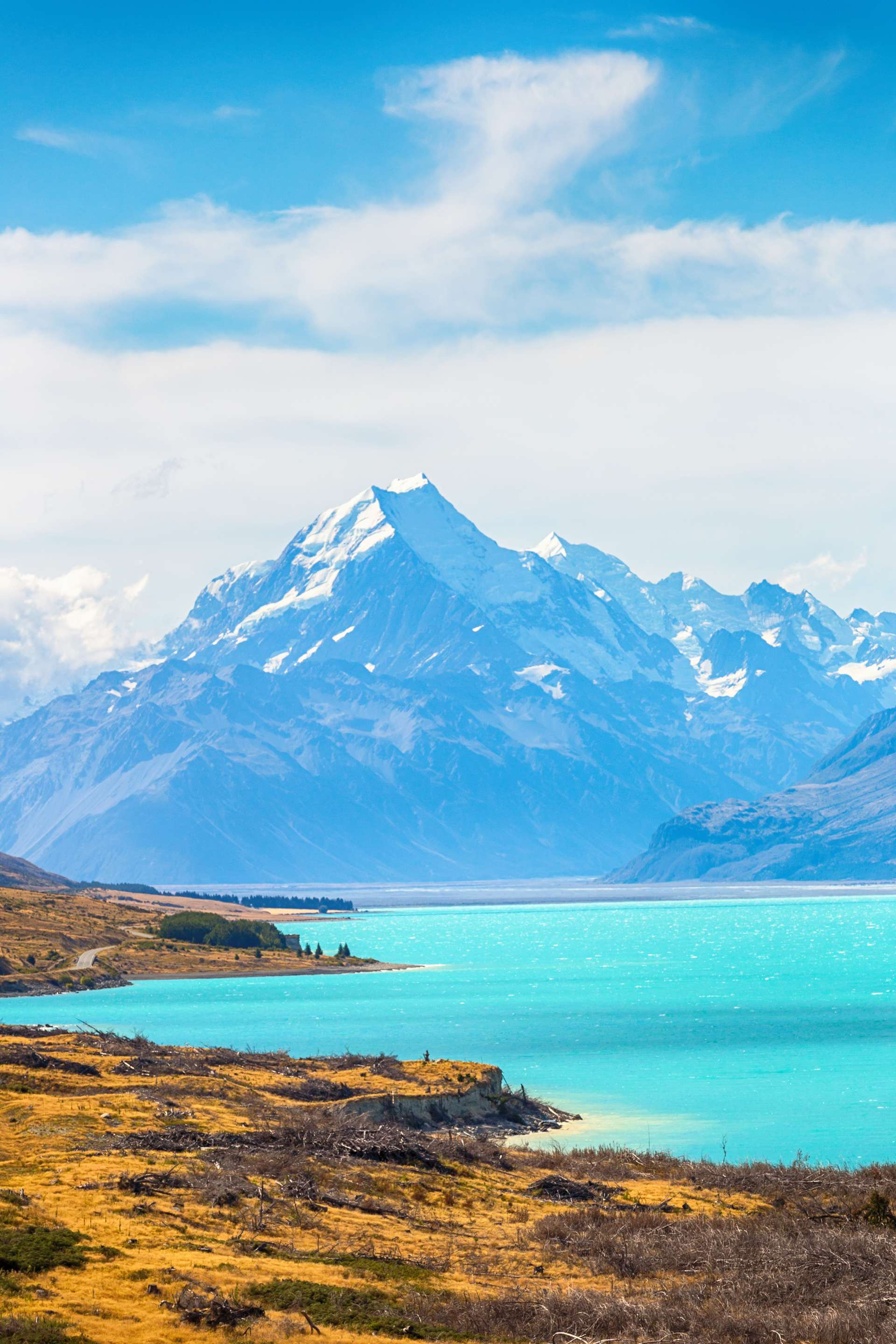 Nieuw Zeeland Lake Pukaki