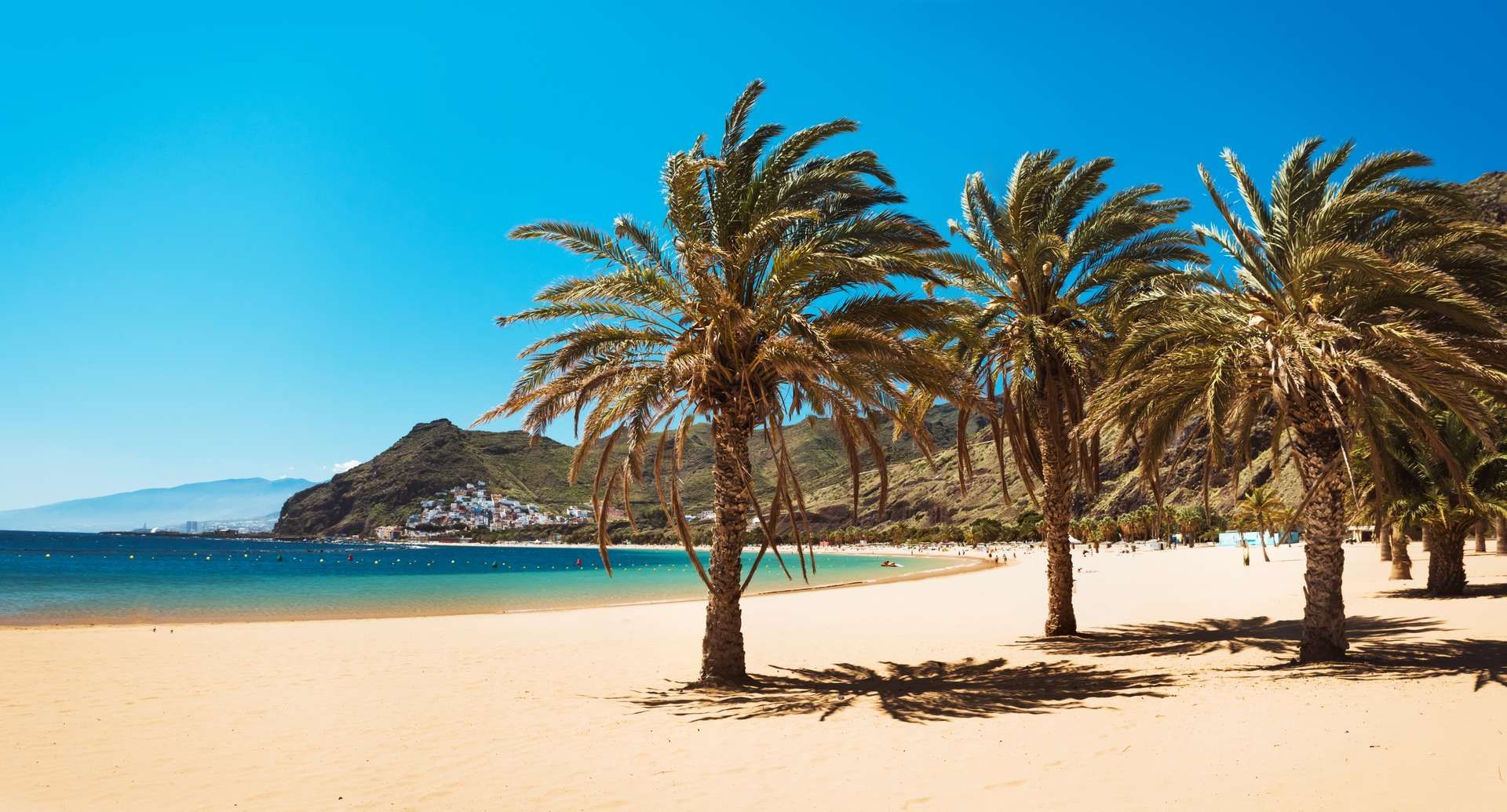 Spanje Canarische EIlanden Tenerife Palmbomen