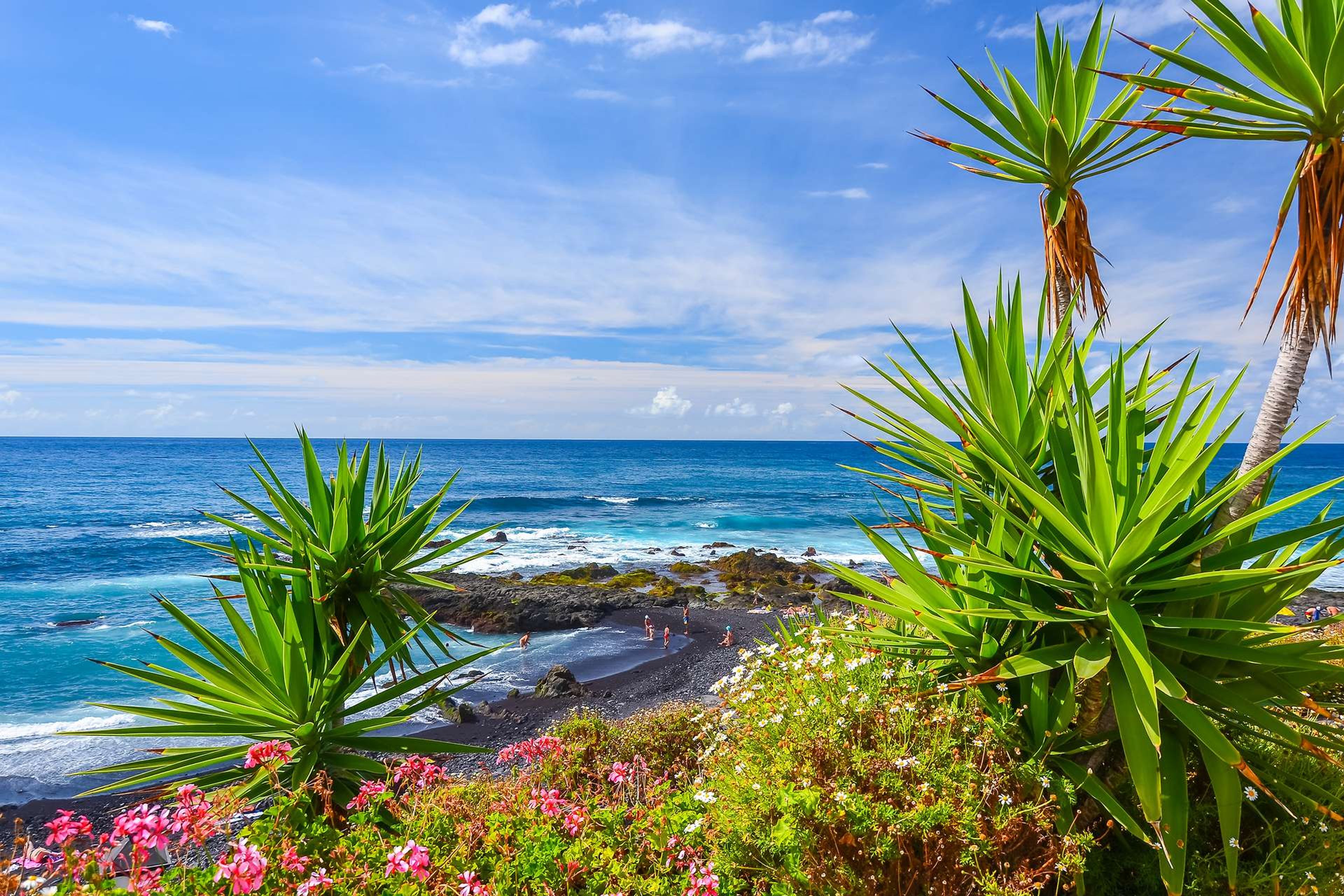 Spanje Canarische eilanden Tenerife Tropische Planten Puerto de la Cruz