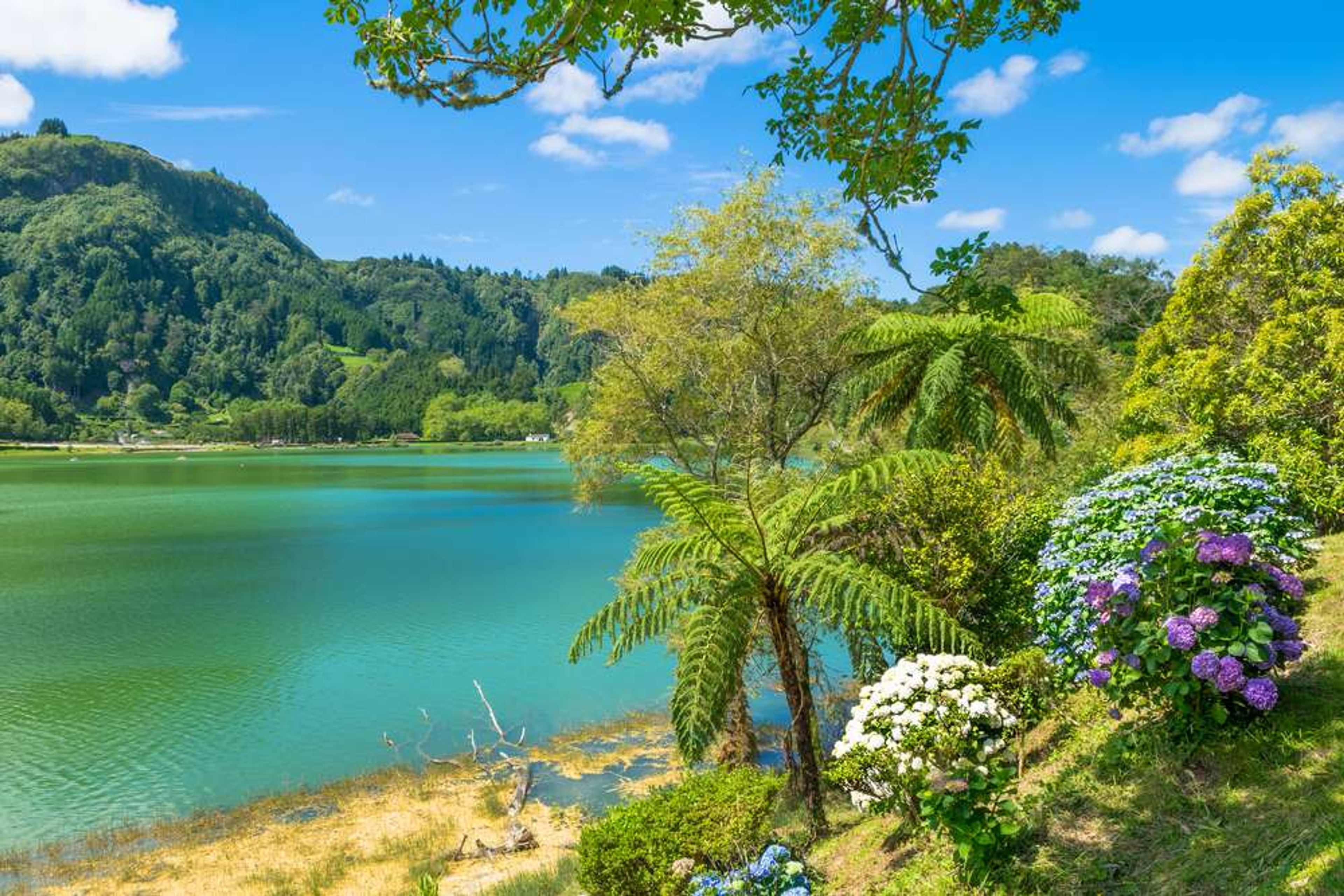 Portugal Azoren São Miguel Lagoa das Furnas