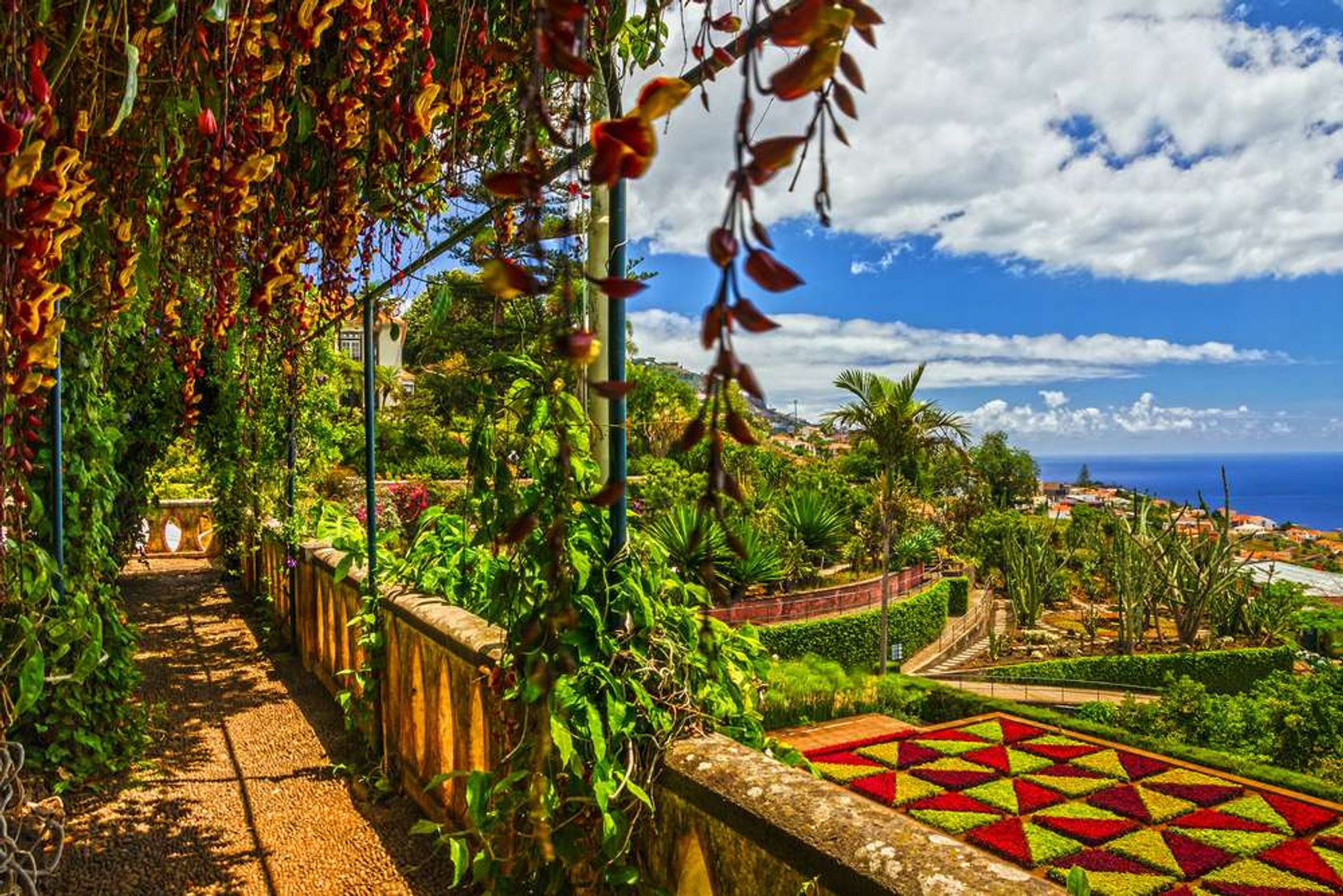 Portugal Madeira  Funchal Botanical Garden Monte