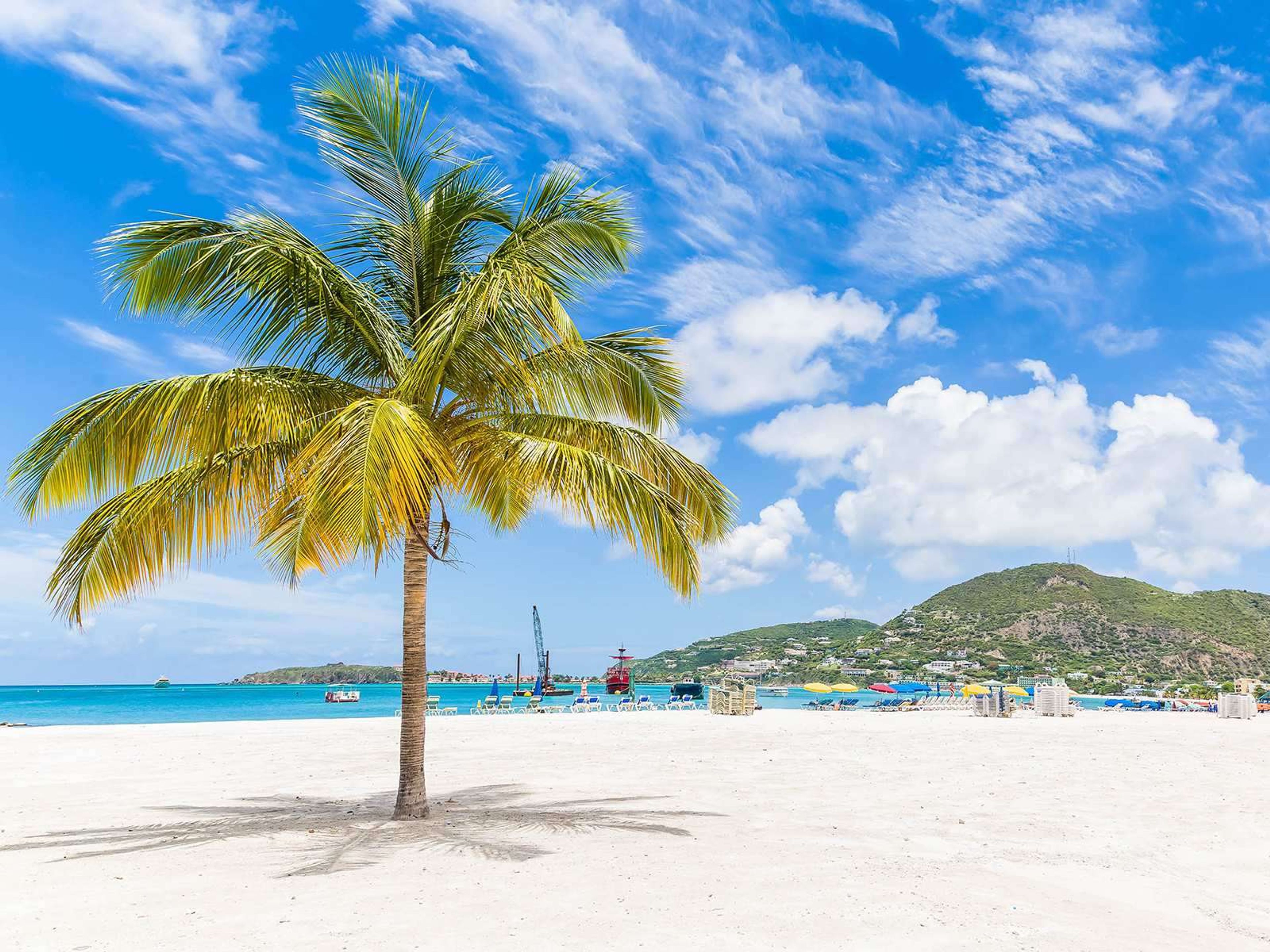palmboom strand philipsburg sint maarten 1almboom strand philipsburg st maarten