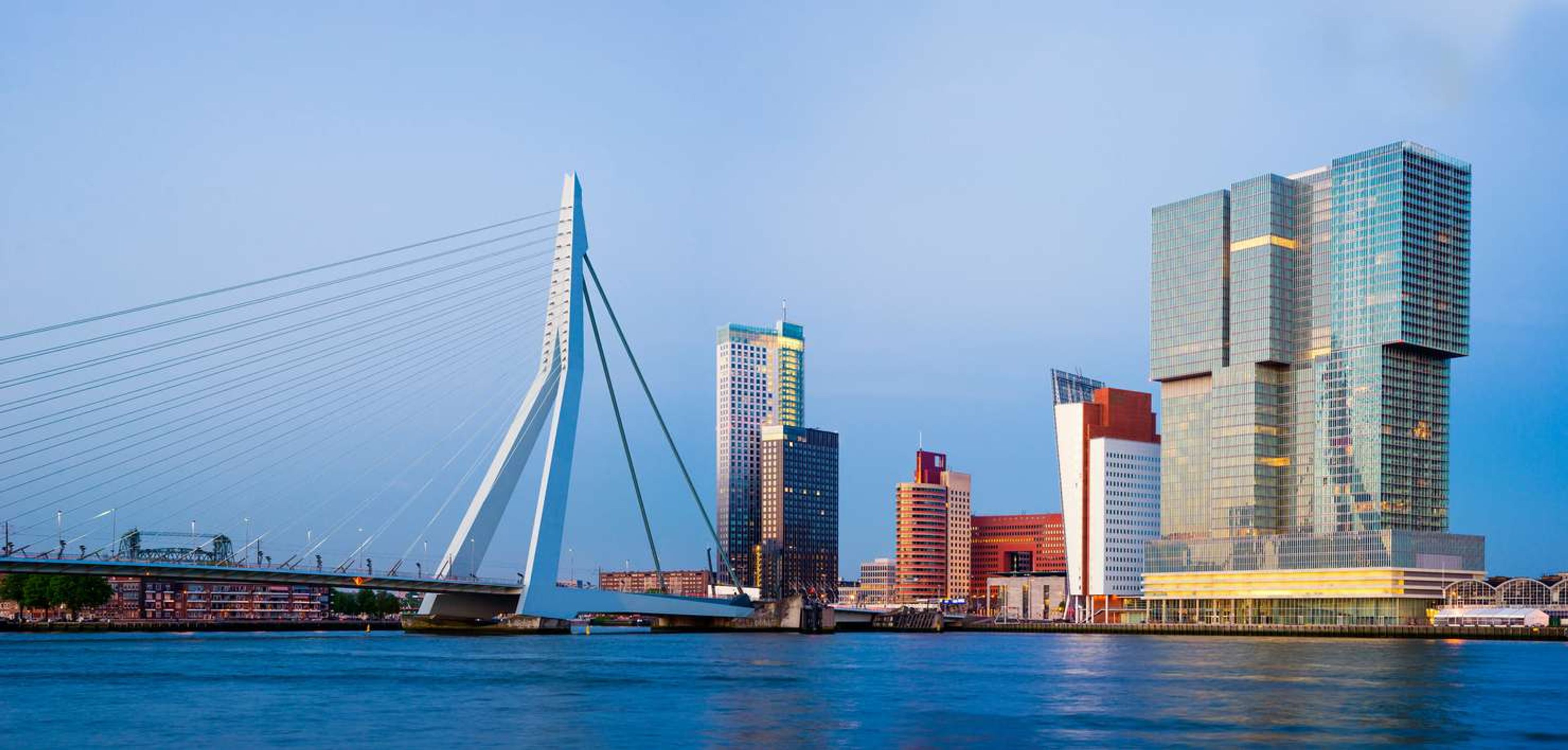 rotterdam erasmus skyline