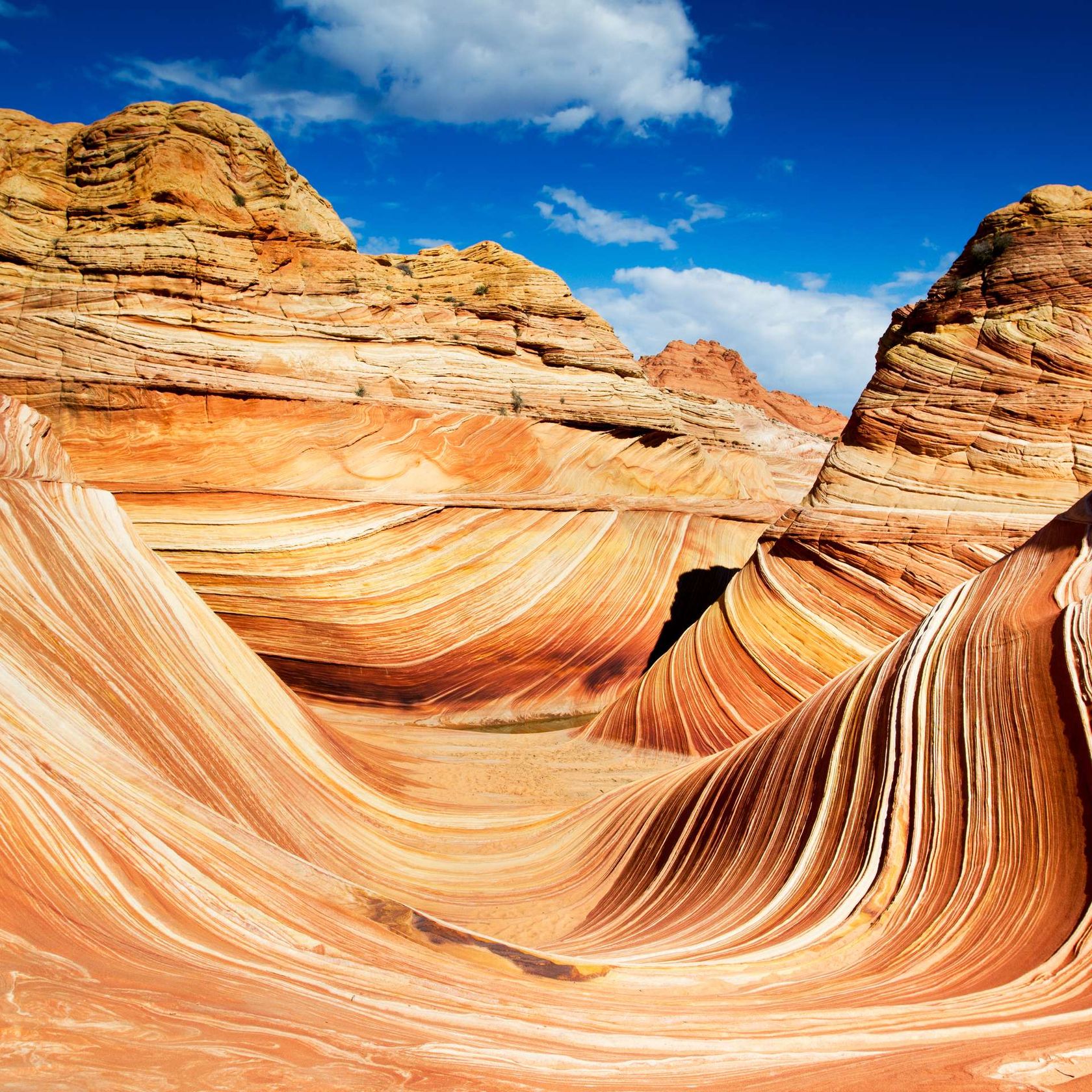 USA Arizona The Wave, rocky desert rock formation