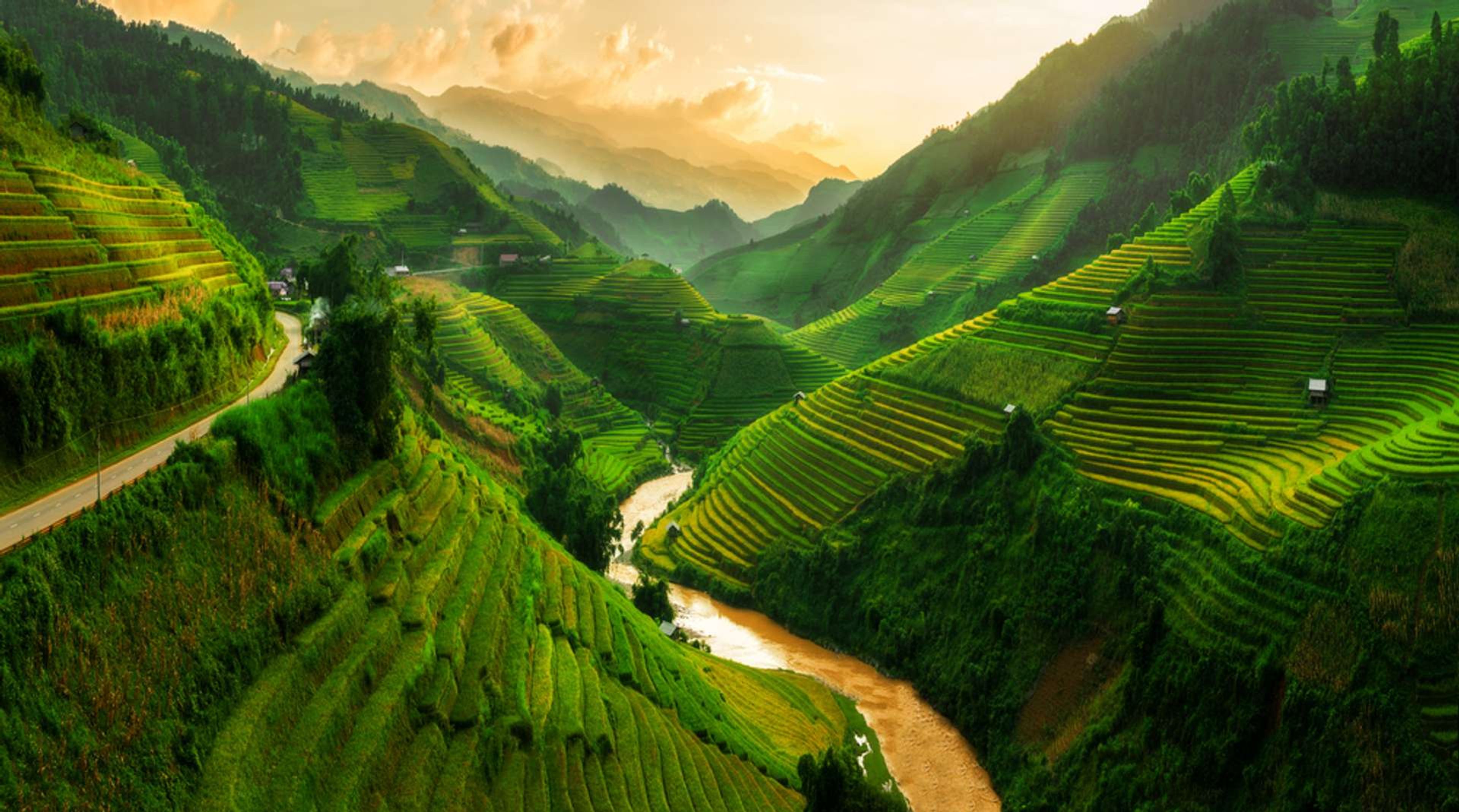 Vietnam Mu Cang Chai rijstvelden